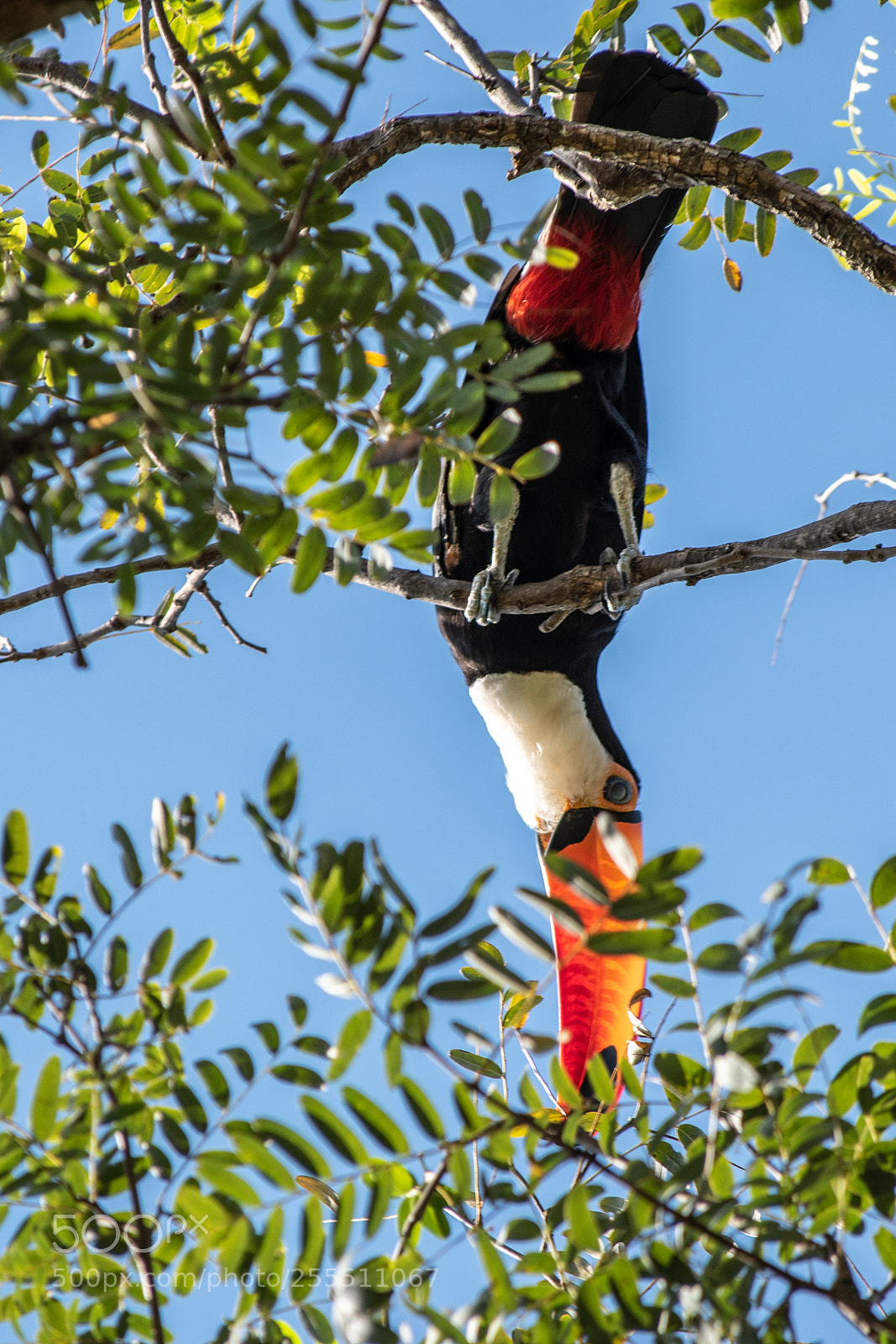 Nikon D5600 sample photo. Tucano photography