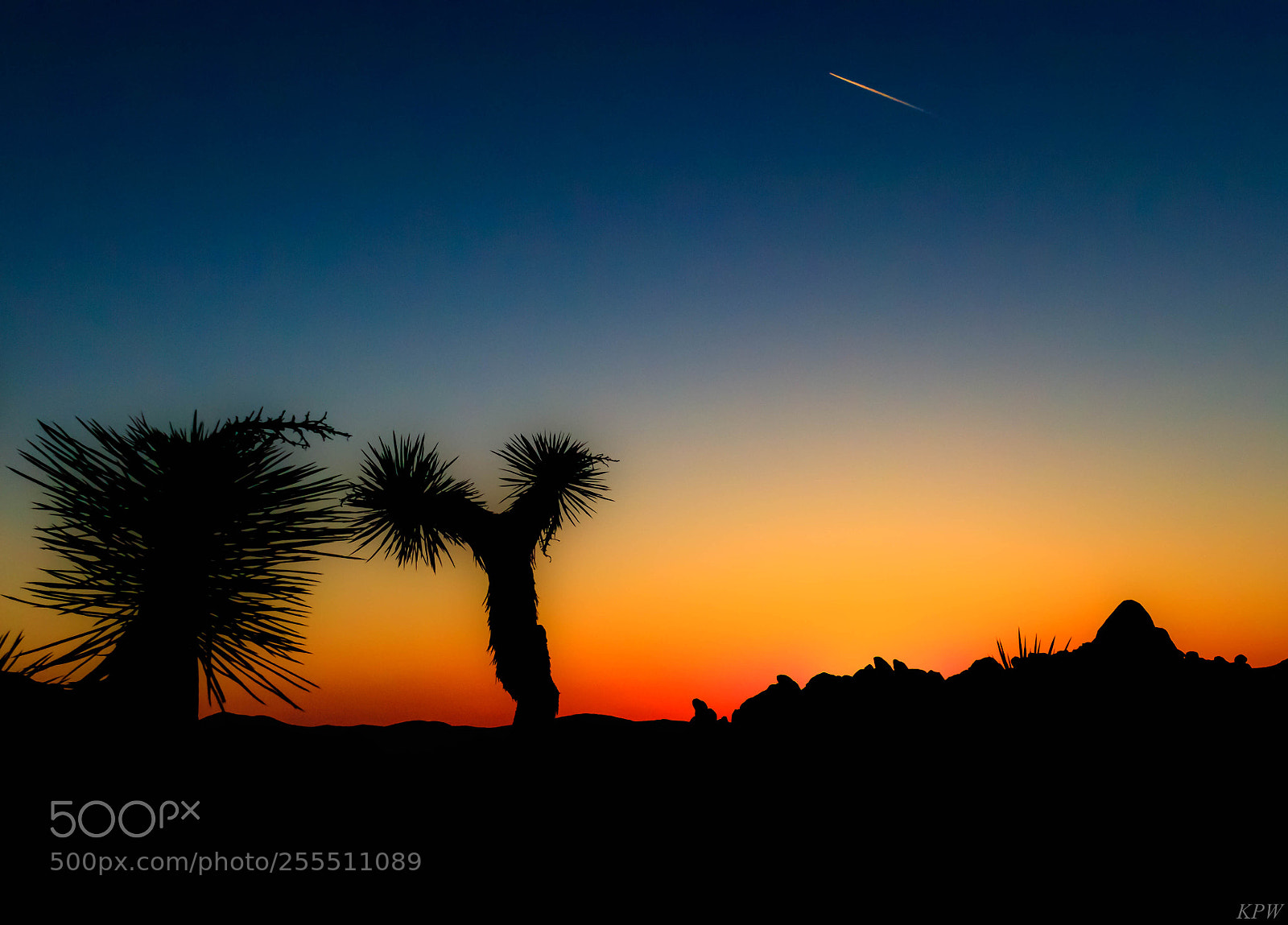 Canon EOS 80D sample photo. Sunrise at joshua tree photography