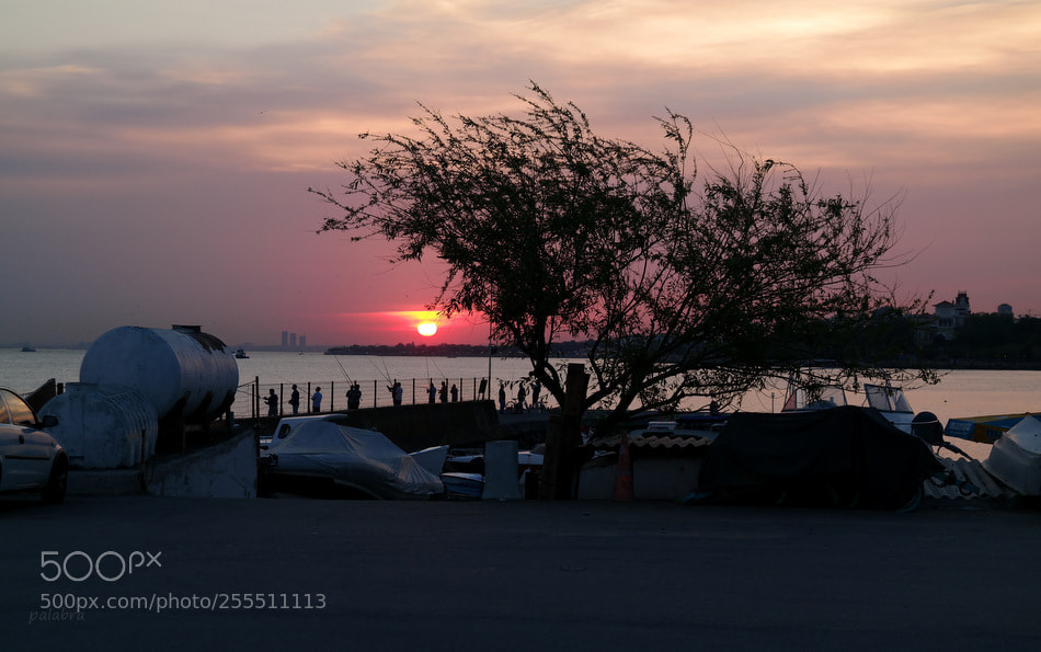 Samsung NX30 sample photo. ... photography