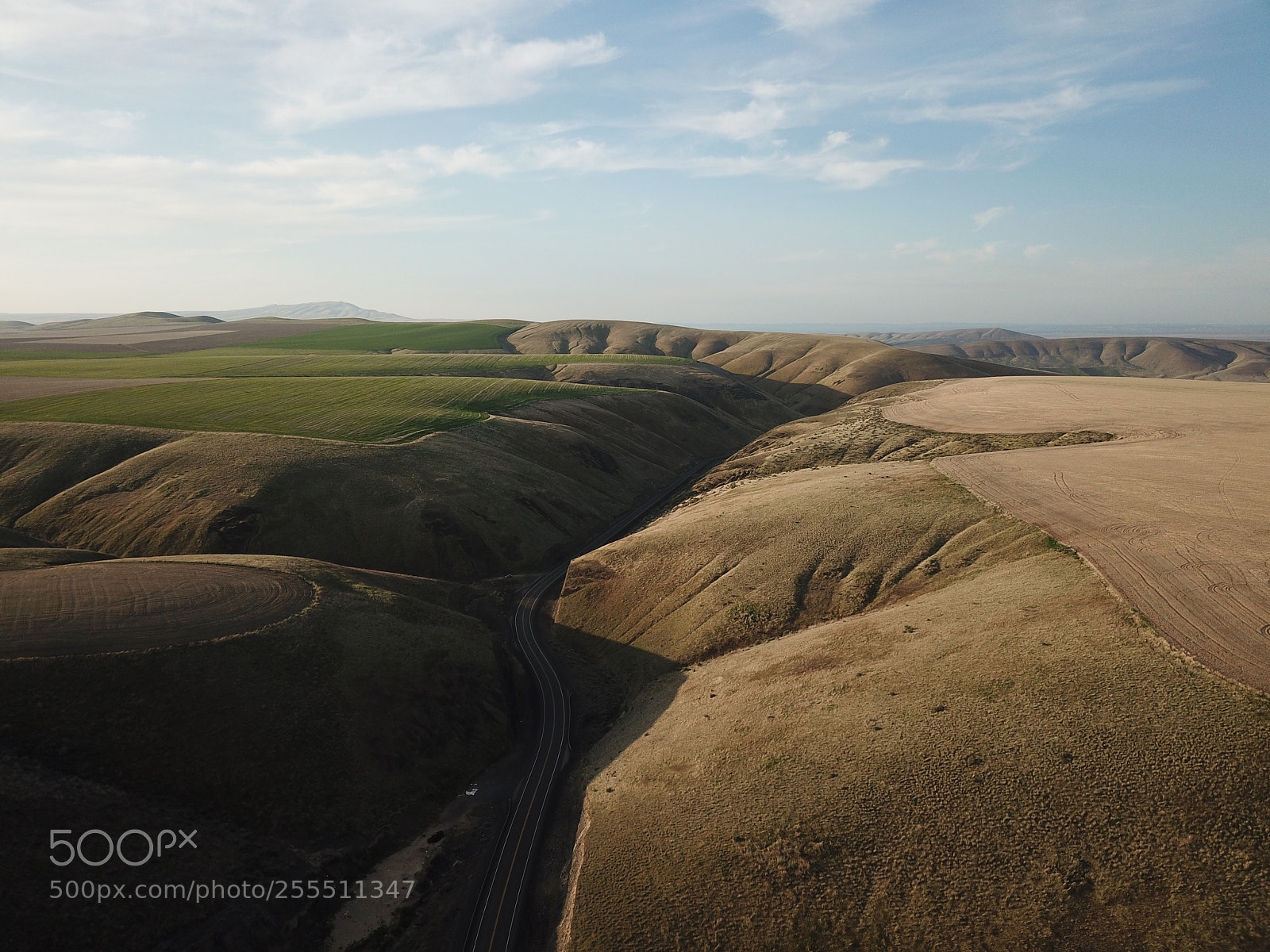 DJI FC220 sample photo. Between photography