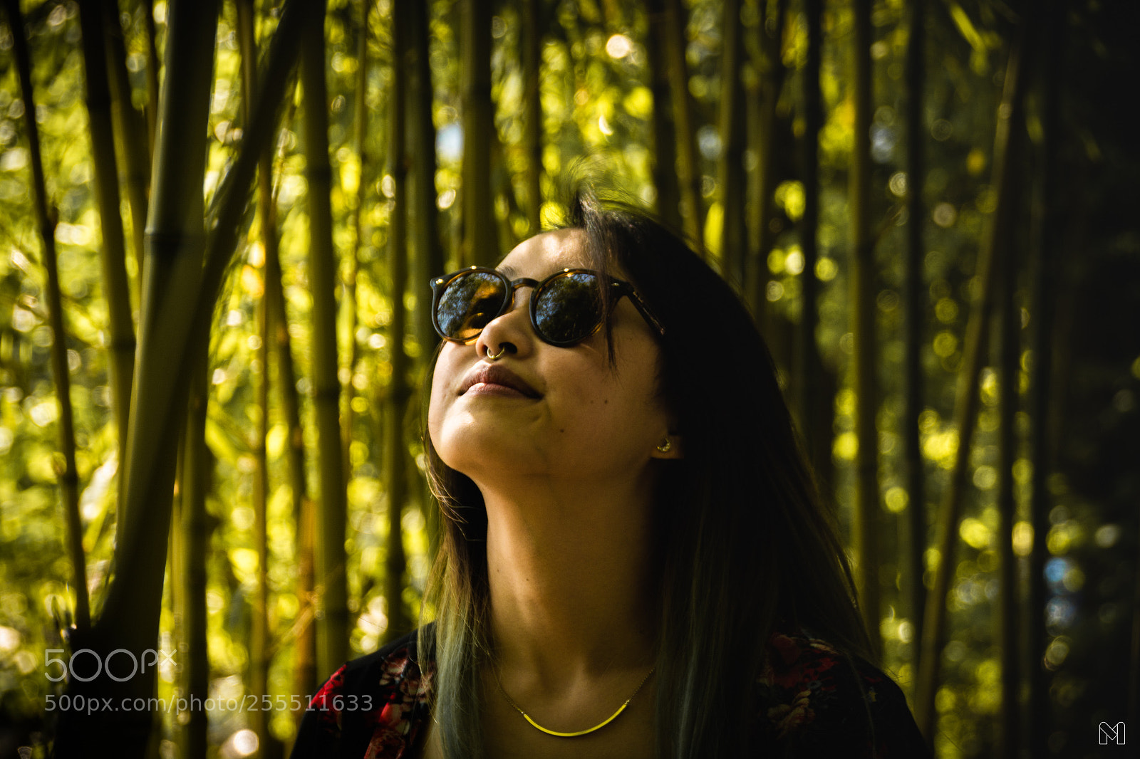 Nikon D7100 sample photo. Revelation of h' photography