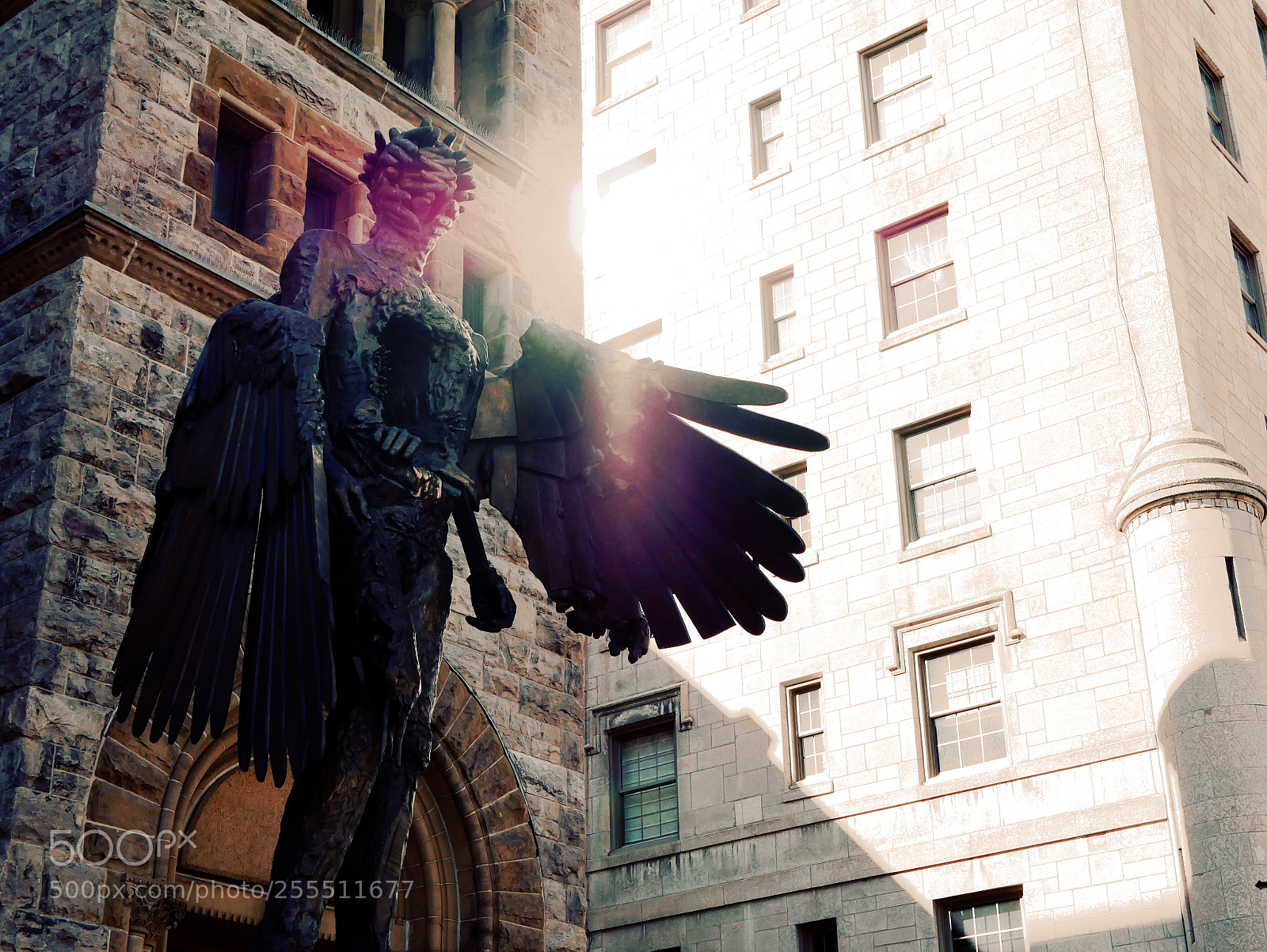 Panasonic Lumix DMC-GX85 (Lumix DMC-GX80 / Lumix DMC-GX7 Mark II) sample photo. Light angel photography