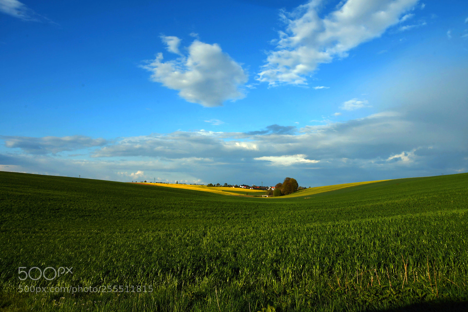 Nikon D500 sample photo. ...a beautiful day... photography