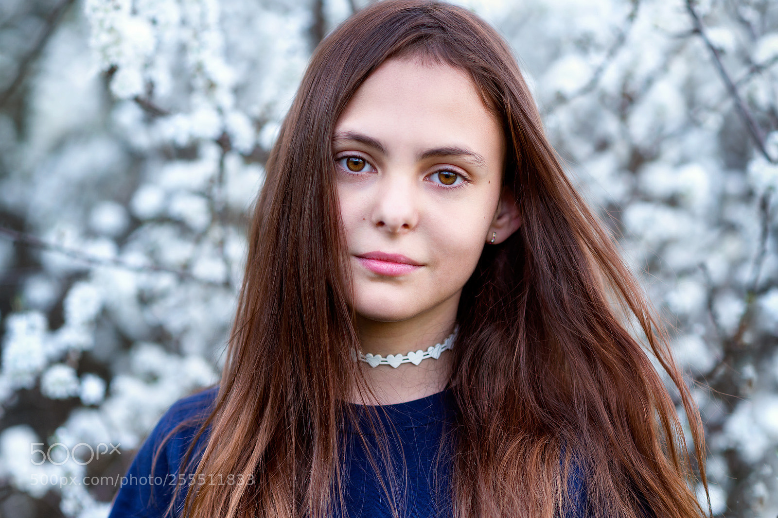 Nikon D800 sample photo. Nikol photography