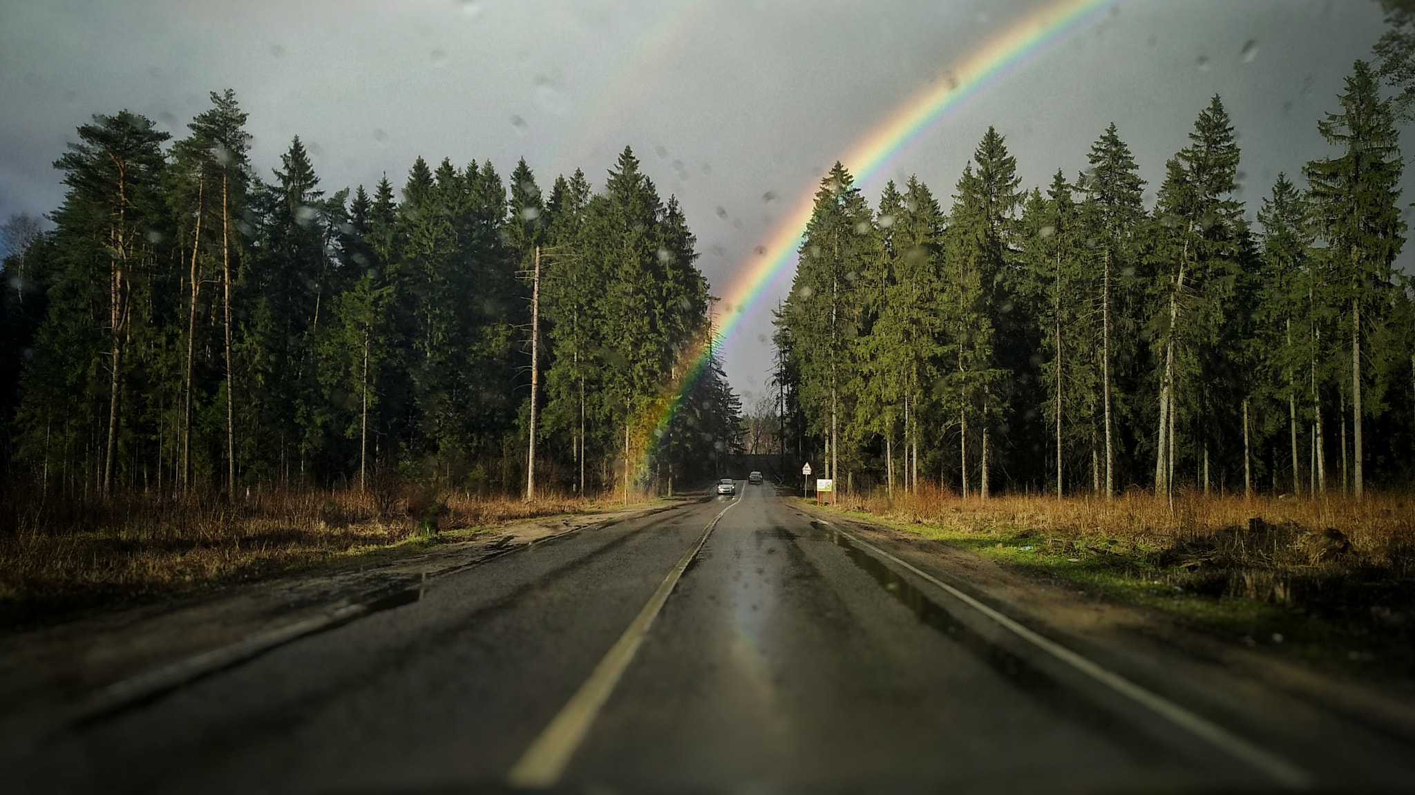 Xiaomi MI MAX 2 sample photo. Where the rainbow begins photography