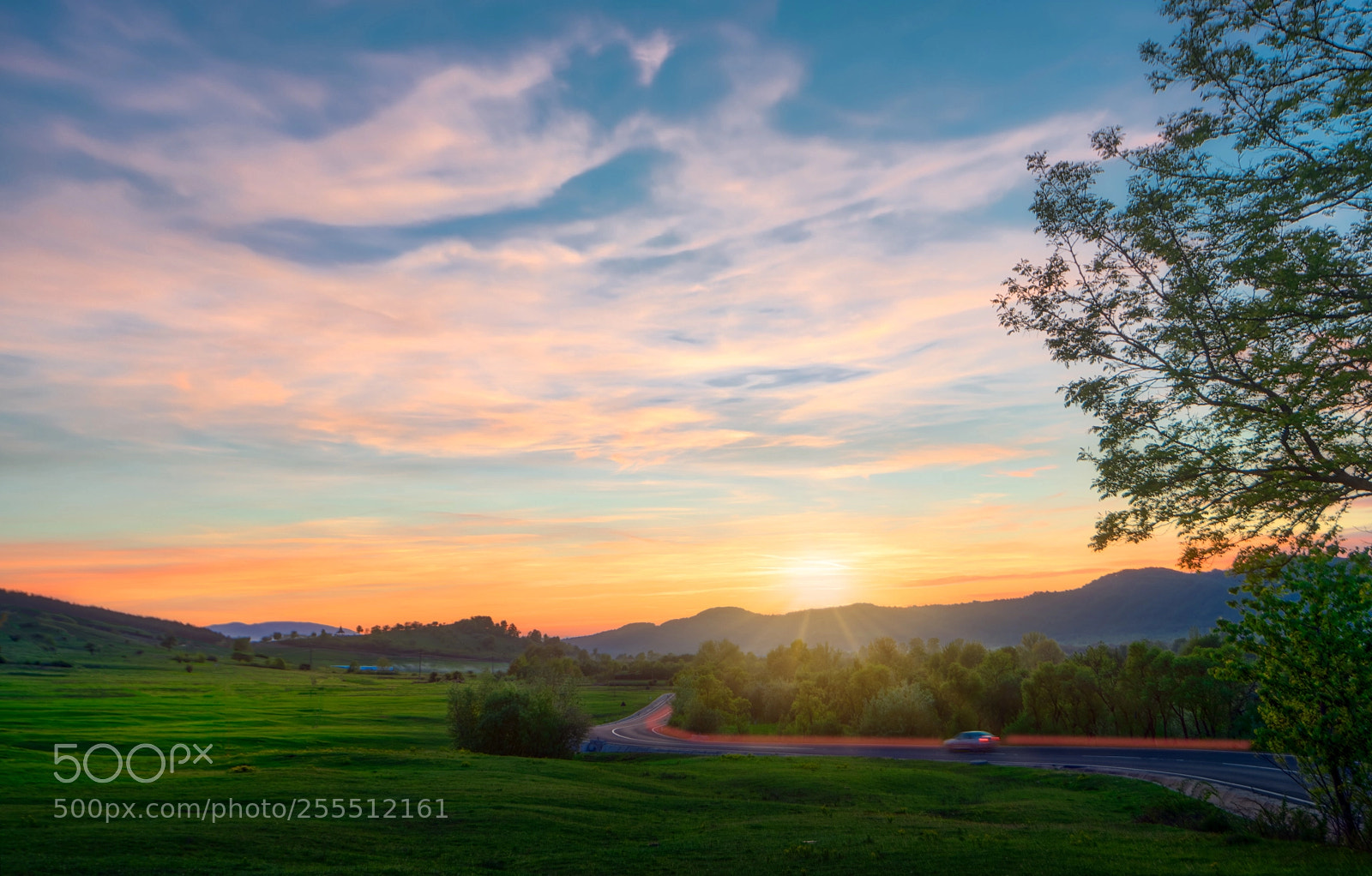 Nikon D850 sample photo. A road to sunset photography
