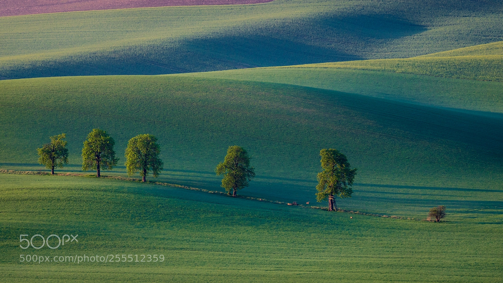 Canon EOS 6D Mark II sample photo. Sunrise in karlín photography