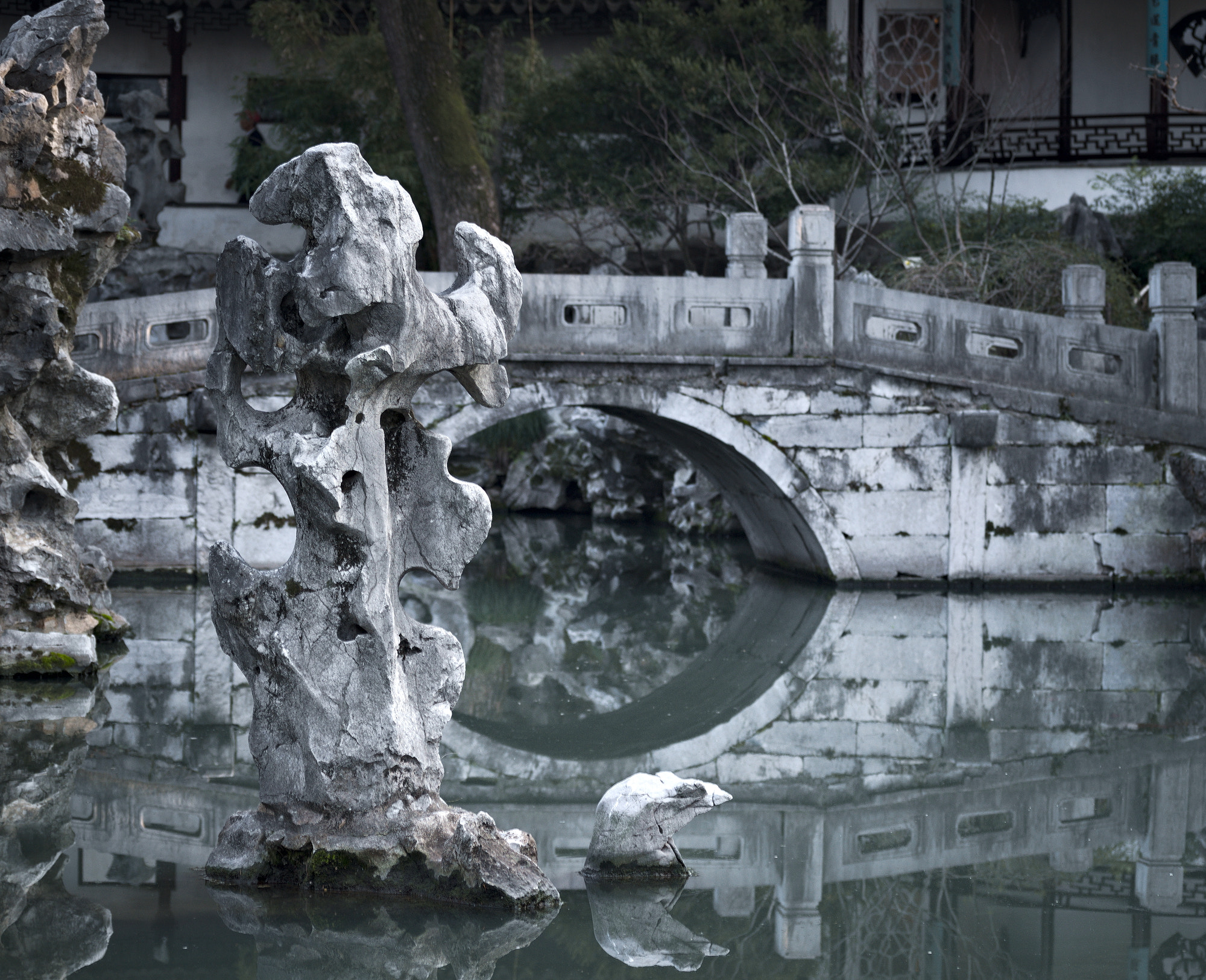 Nikon D3100 sample photo. Stones in water photography