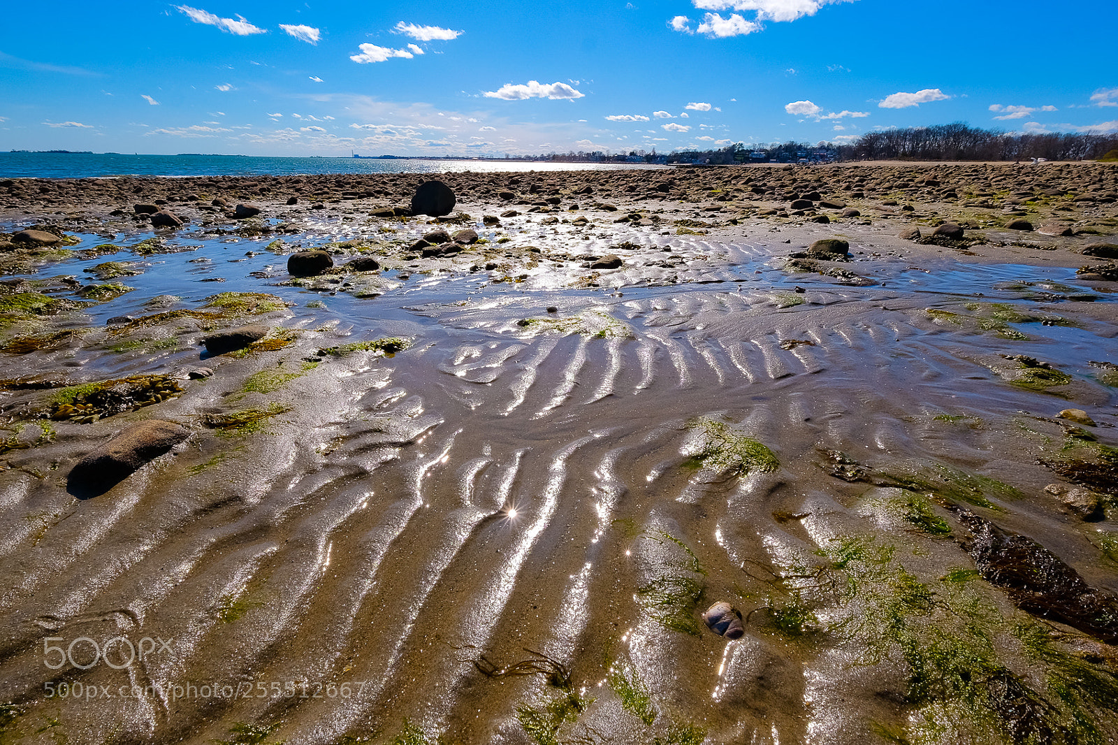 Fujifilm X-T10 sample photo. As the tide goes photography