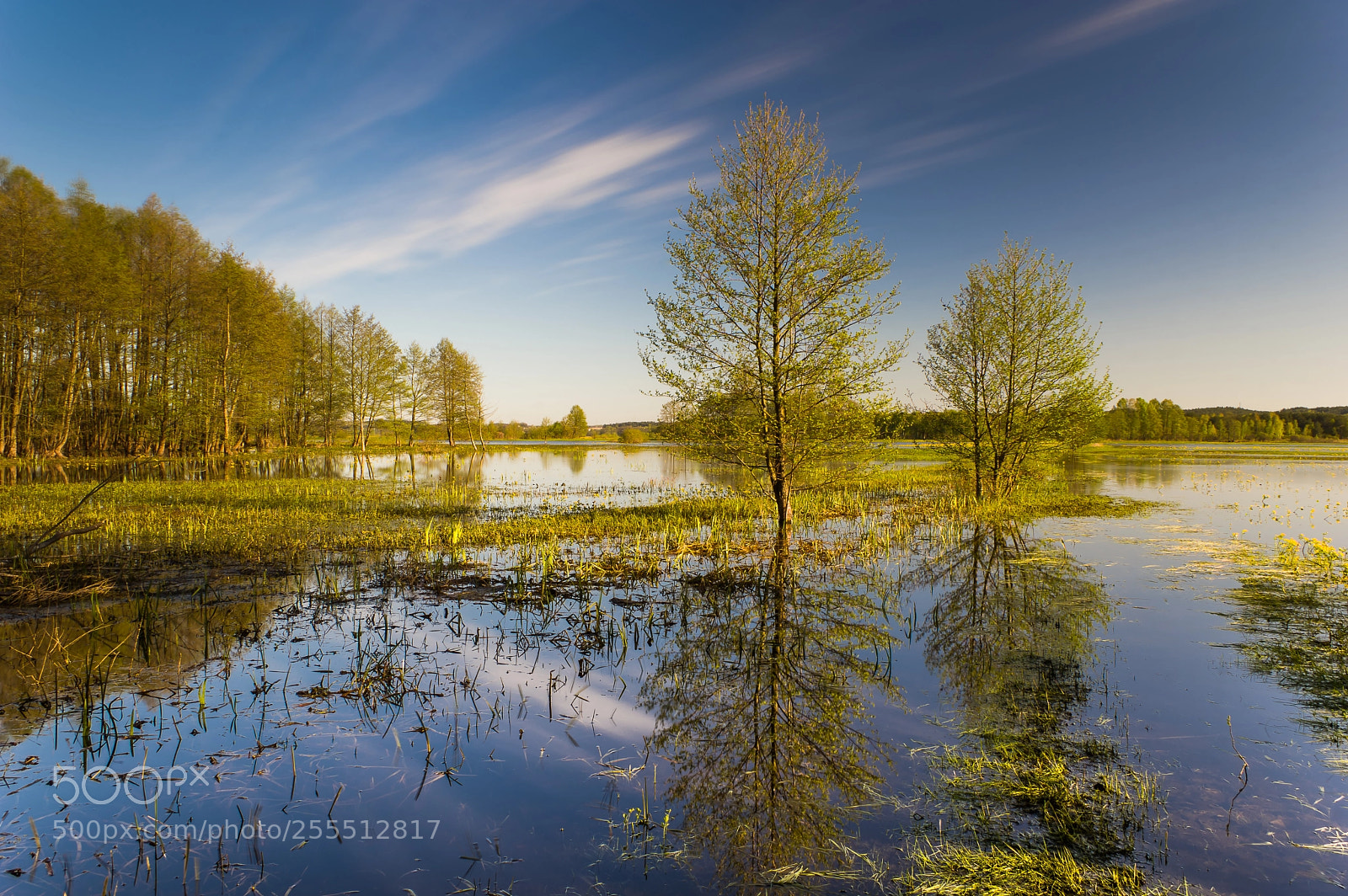 Pentax K-3 II sample photo. Water meadows in morning photography
