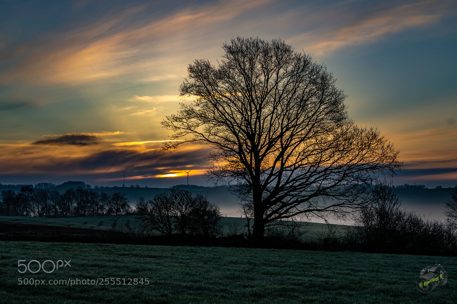 Nikon D3100 sample photo. Mittelbrunn photography