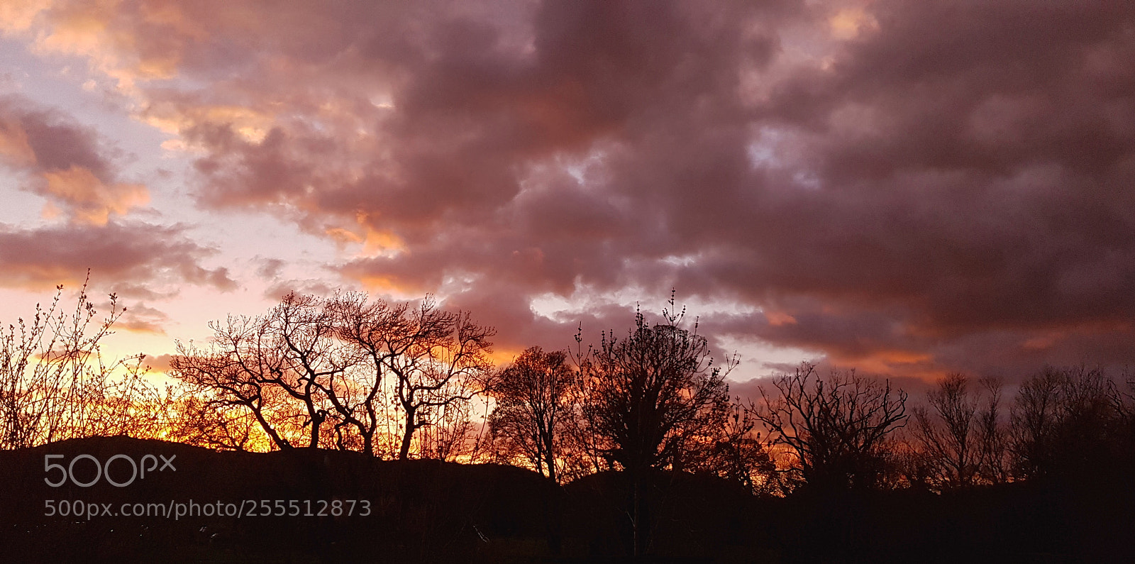 Samsung Galaxy S8 sample photo. Sun set ❤ photography