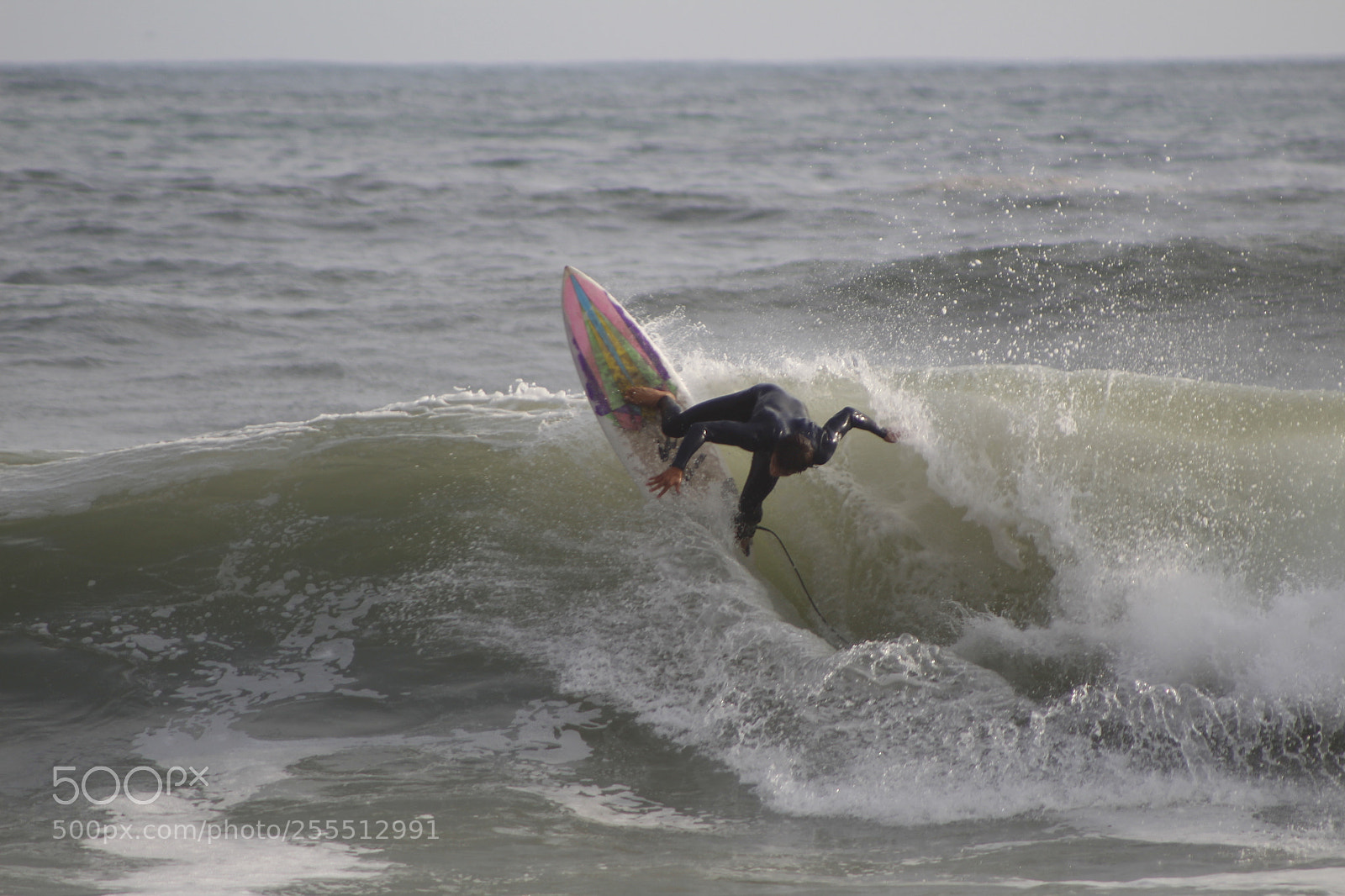 Canon EF 75-300mm f/4-5.6 sample photo. Mg photography
