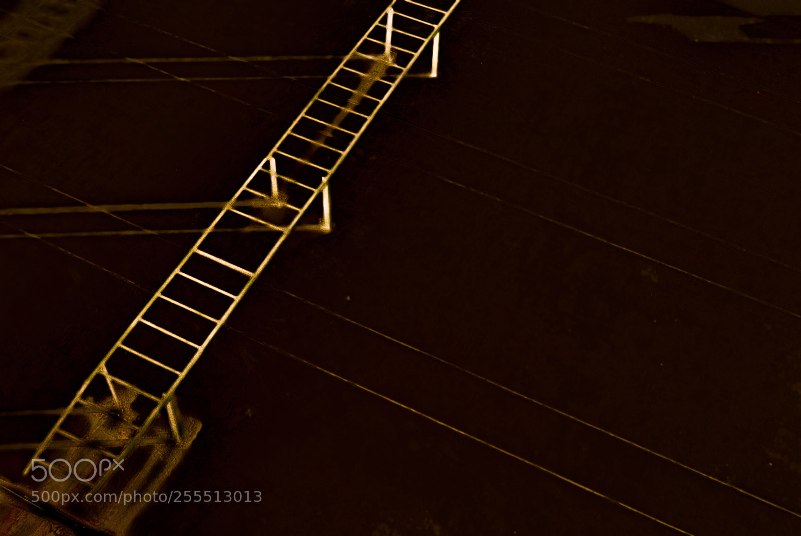Nikon D3000 sample photo. Ladder photography