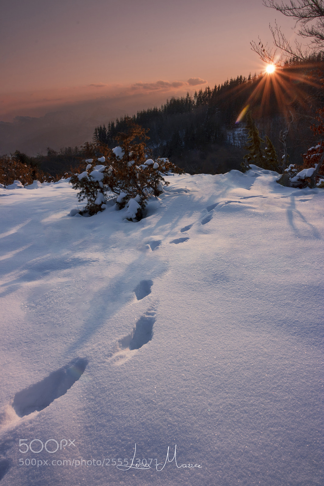 Canon EOS 750D (EOS Rebel T6i / EOS Kiss X8i) sample photo. Footsteps. photography
