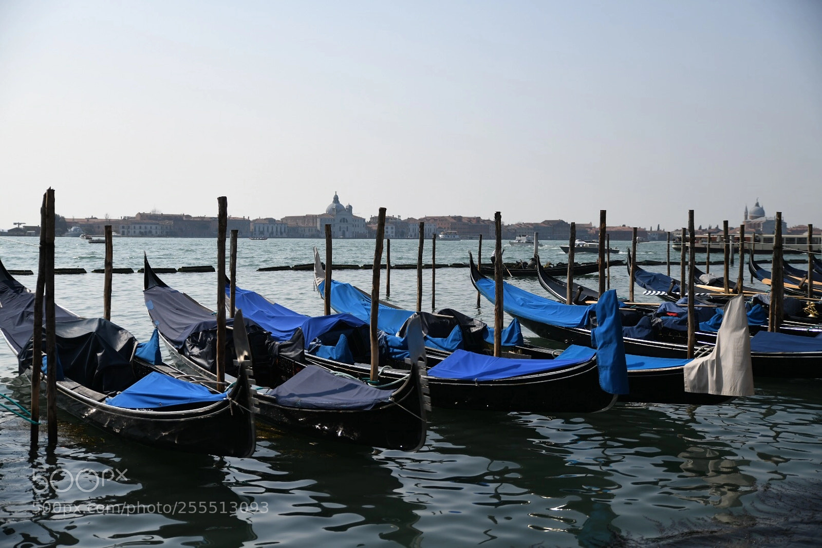 Nikon D850 sample photo. Venice  photography