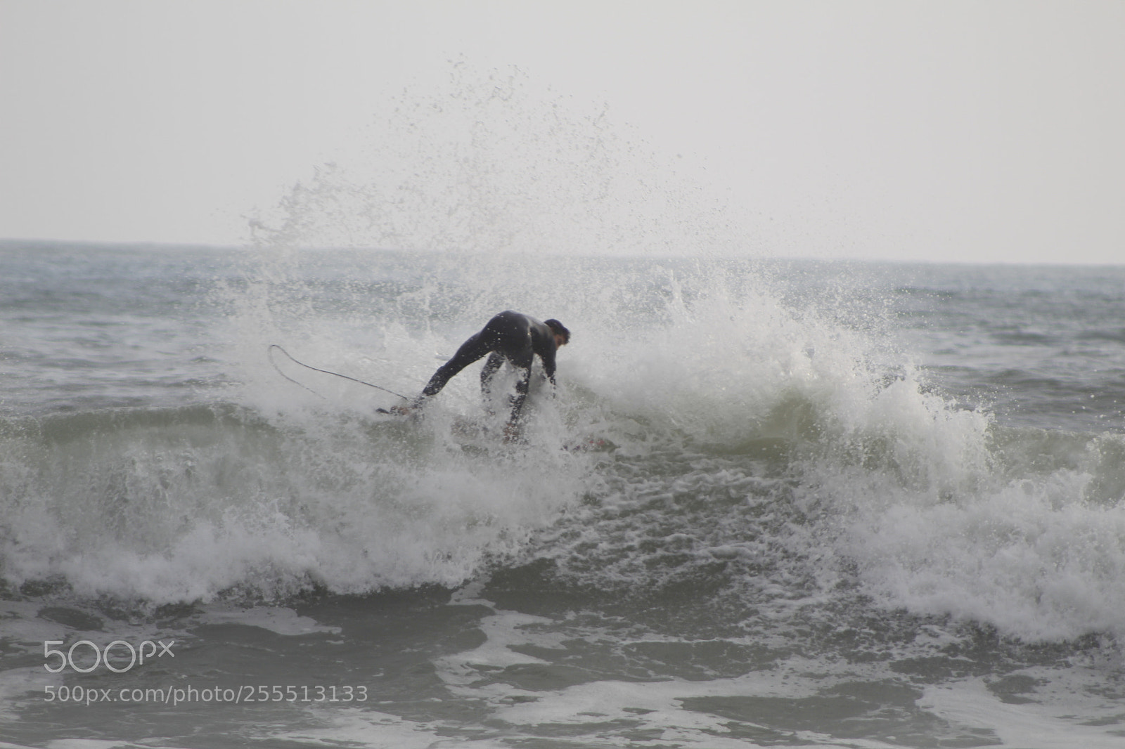 Canon EF 75-300mm f/4-5.6 sample photo. Mg photography