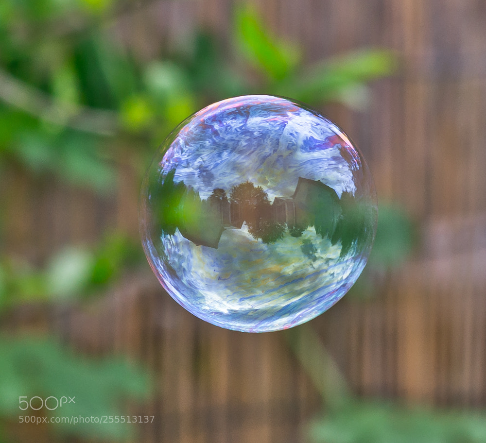 Nikon D7000 sample photo. Today in a bubble. photography