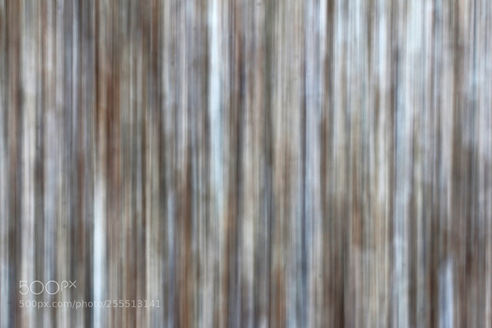 Canon EOS 70D sample photo. Blur photography