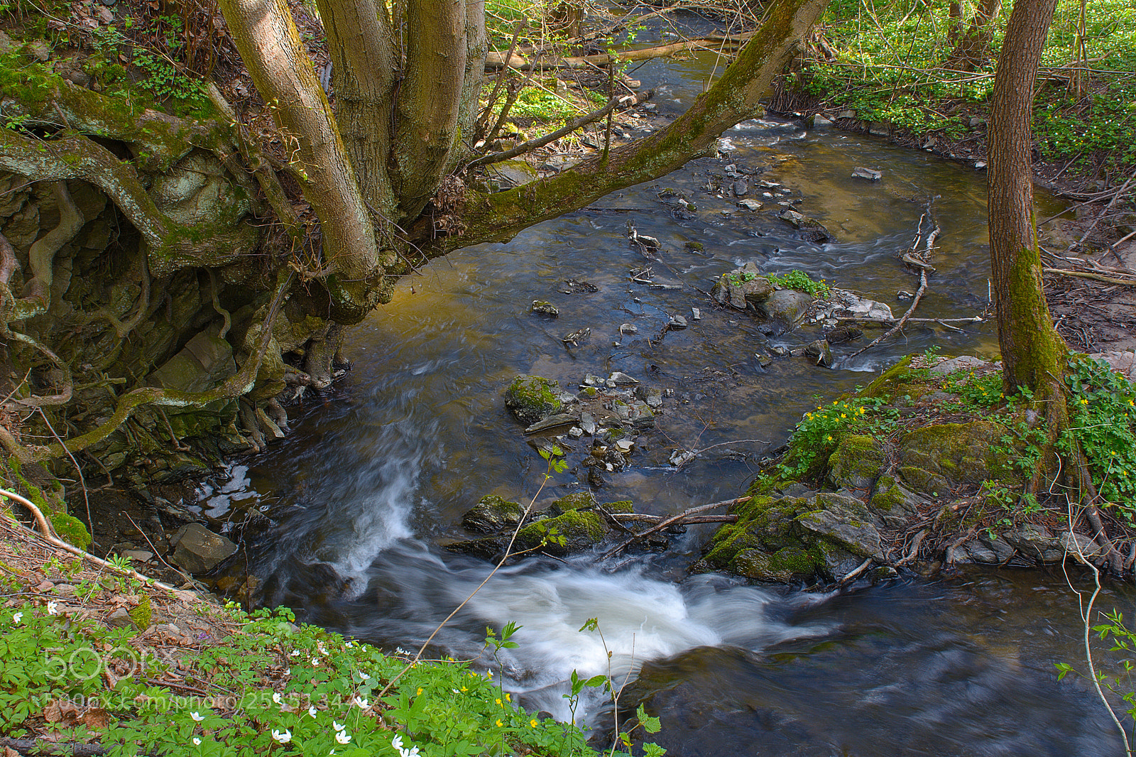Nikon D7100 sample photo. Spring flow photography
