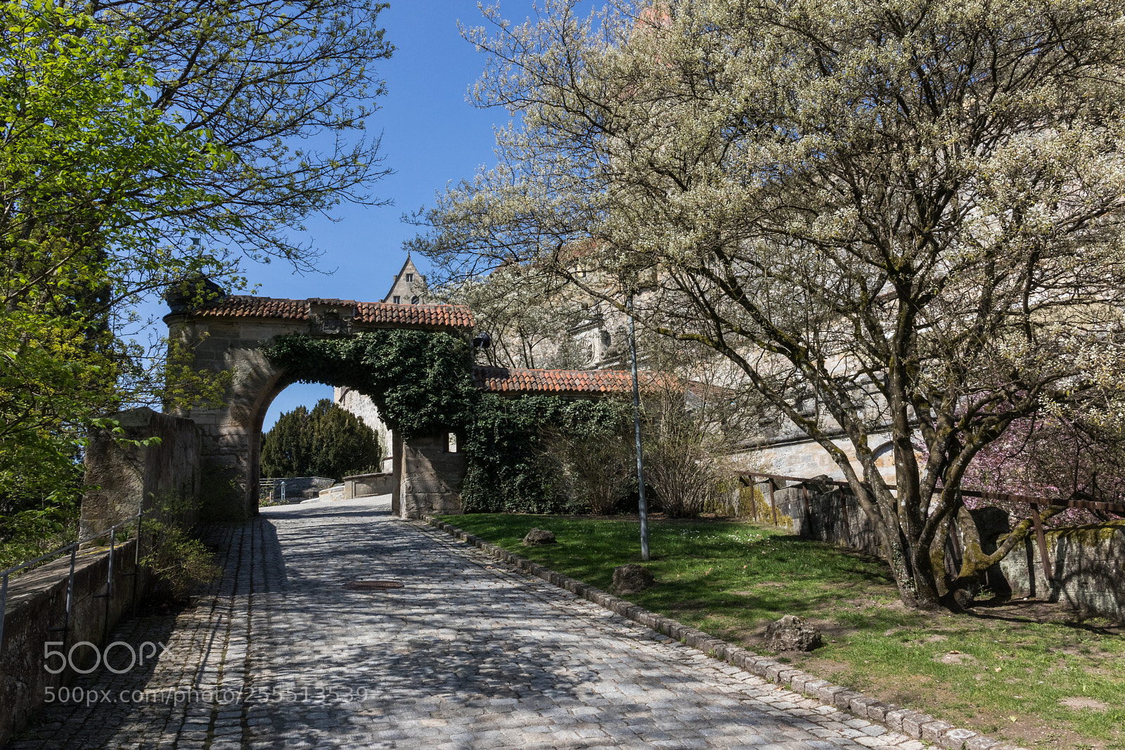 Canon EOS M5 sample photo. Veste coburg photography