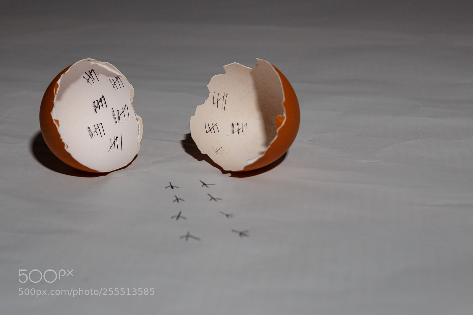 Canon EOS 6D sample photo. Escaped photography