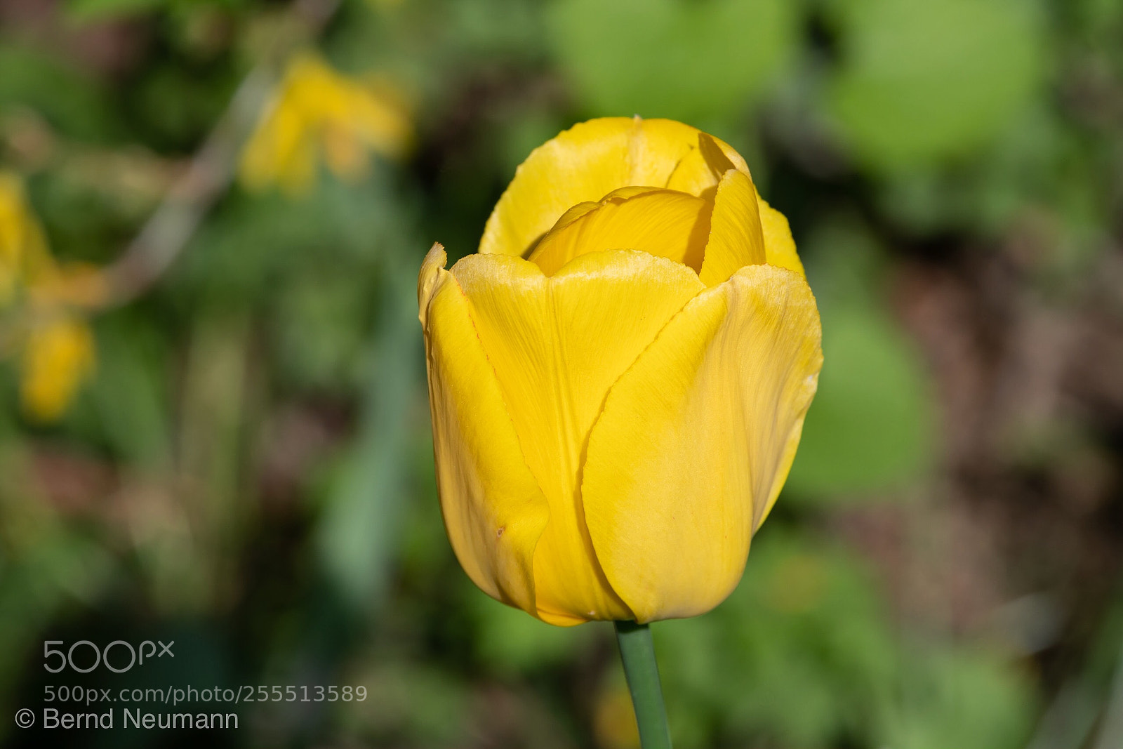 Nikon D7500 sample photo. Beautiful photography