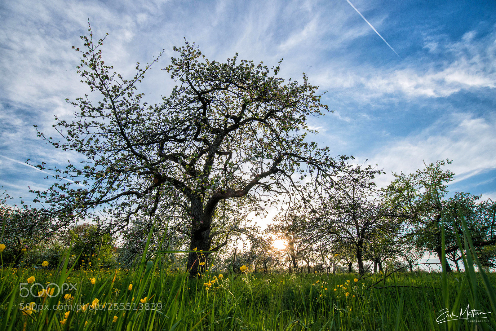 Nikon D800 sample photo. S p r i photography