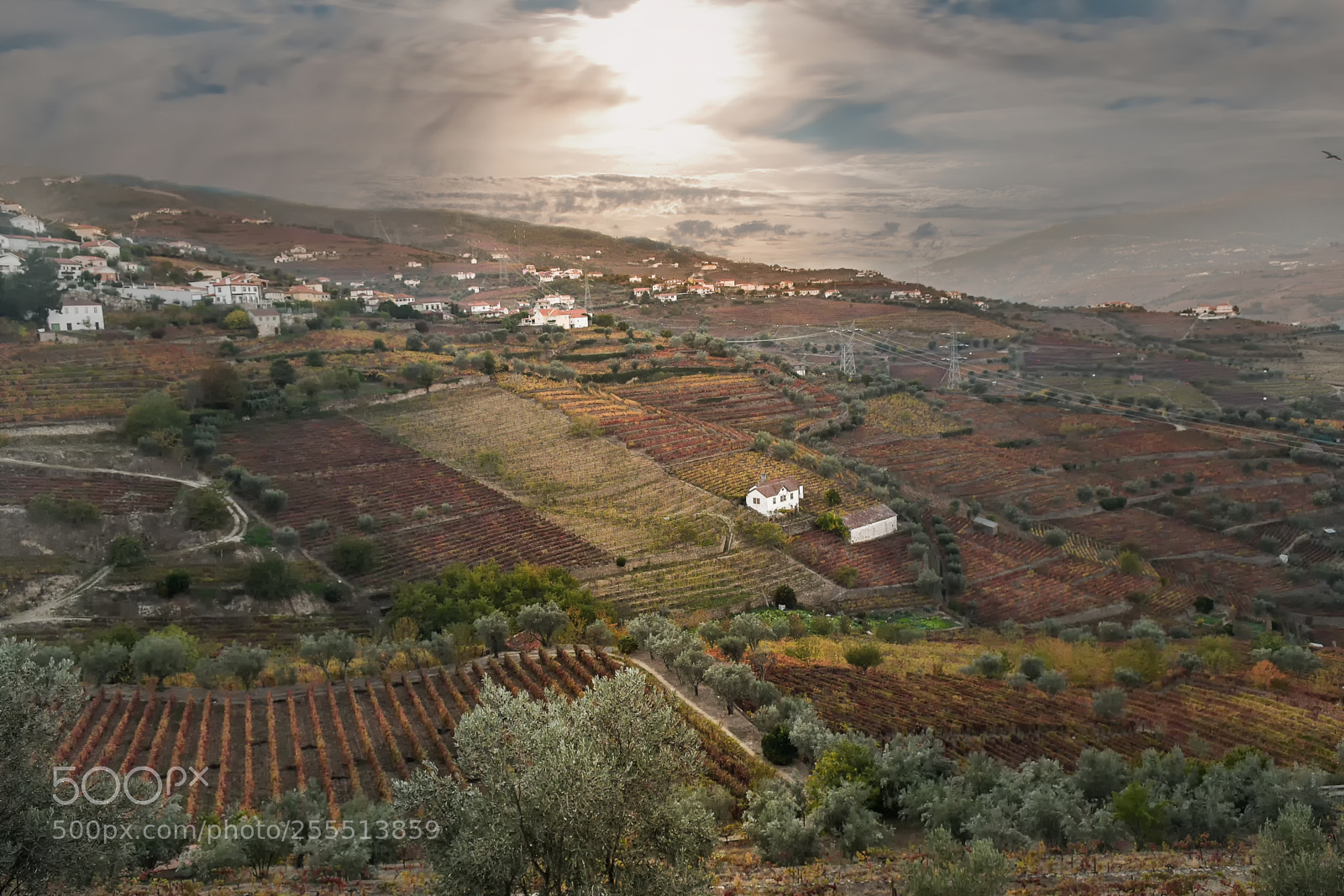 Nikon D500 sample photo. Douro-portugal world heritage of photography