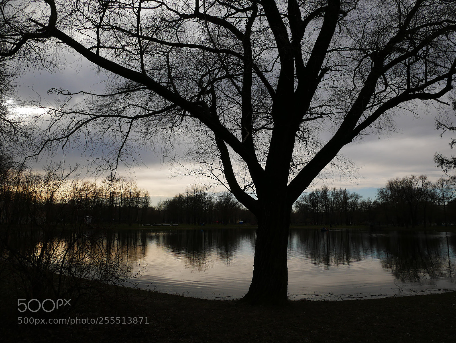 Panasonic Lumix DMC-G85 (Lumix DMC-G80) sample photo. Lake shades photography