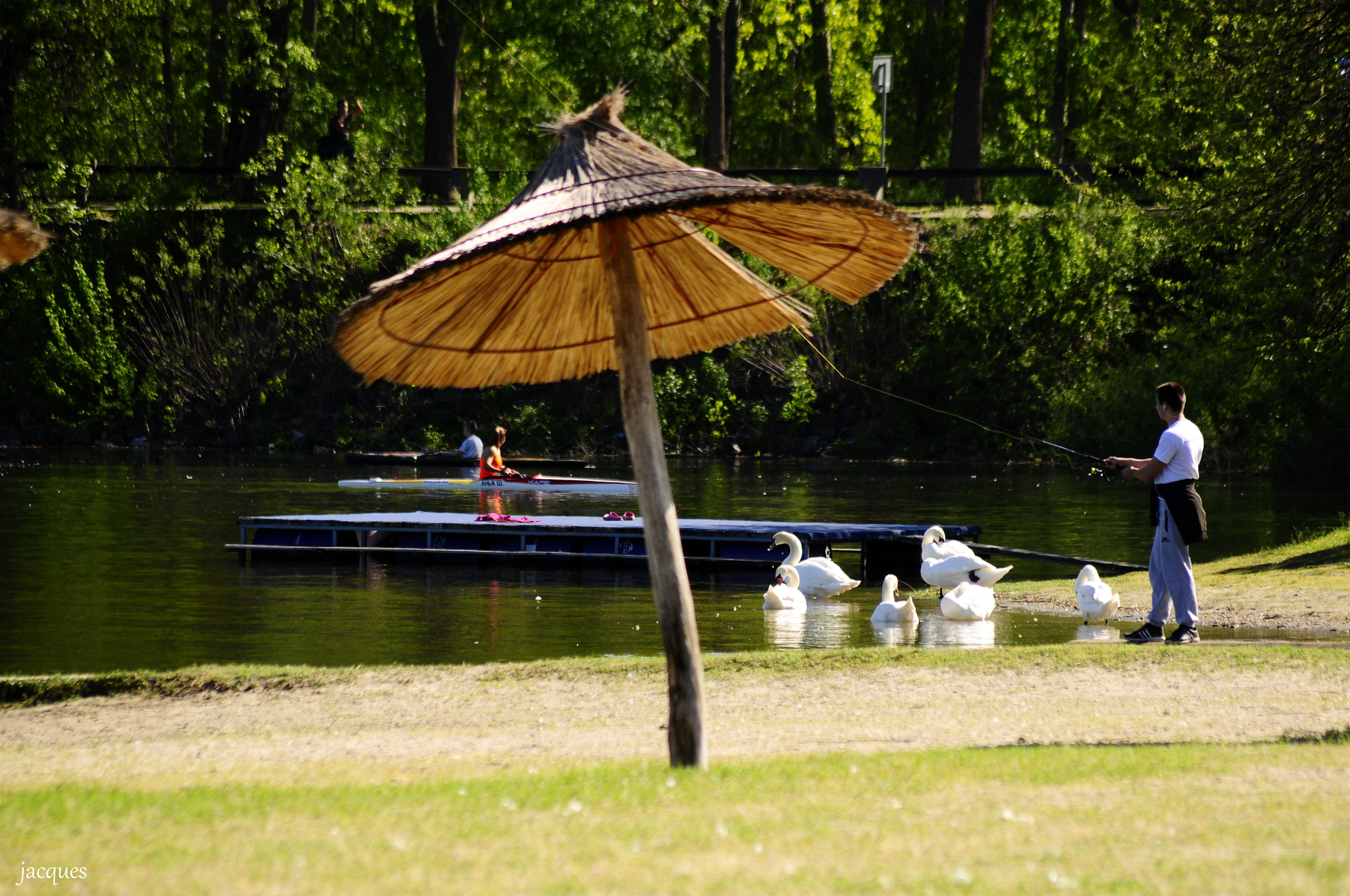 Nikon D300 + Sigma 70-300mm F4-5.6 APO DG Macro sample photo. On the lake photography