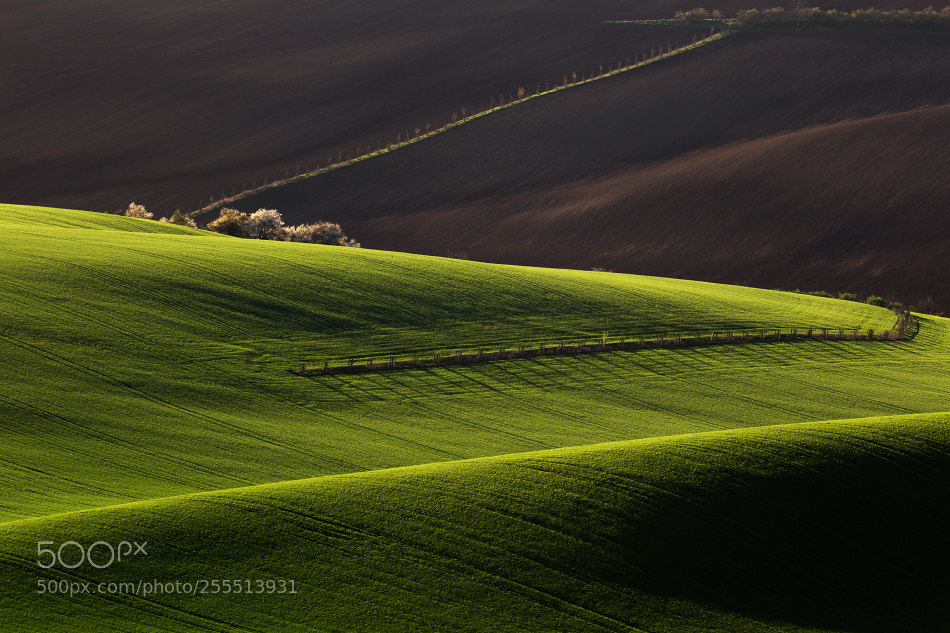 Canon EOS 6D sample photo. Moravian tuscany photography