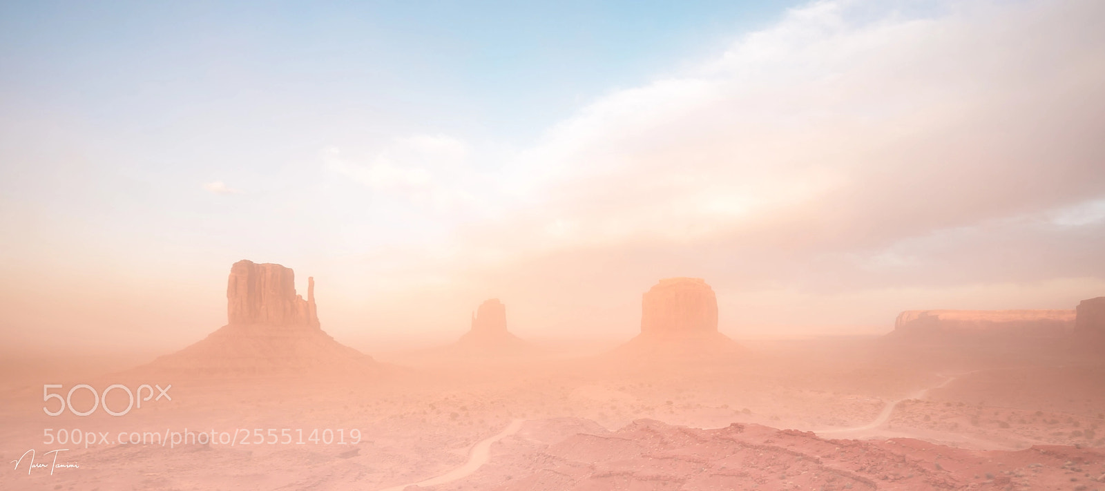 Nikon D600 sample photo. Monument valley photography