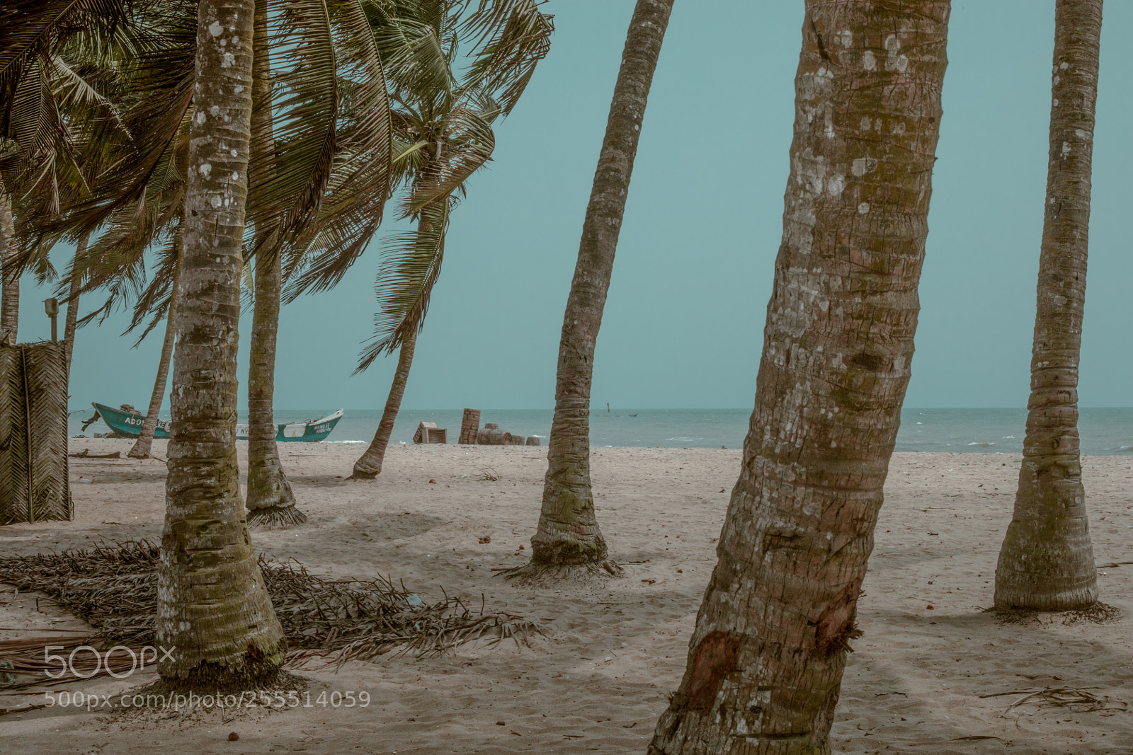 Canon EOS 5D Mark IV sample photo. Ghanabeach photography