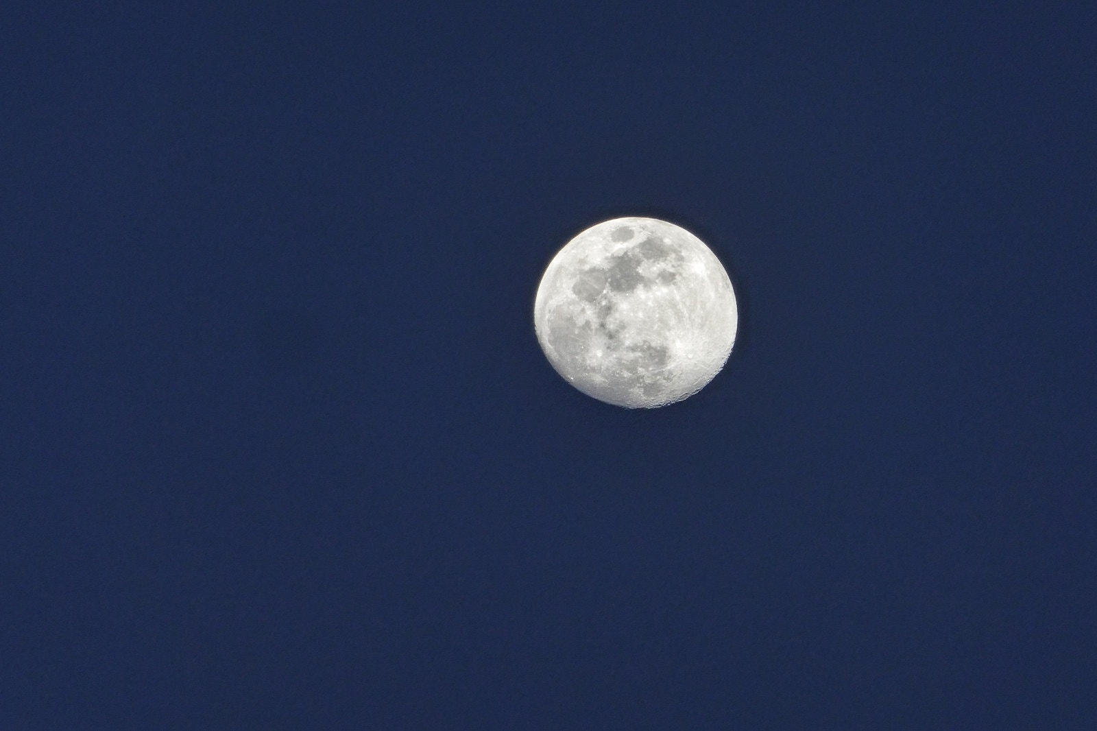 Panasonic DC-ZS70 sample photo. Blue moon photography