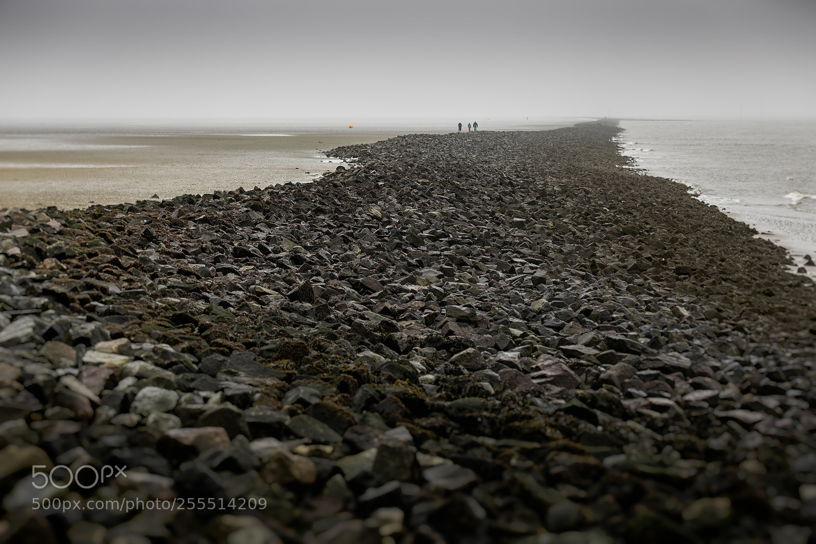 Canon EOS 6D sample photo. Border of the sea photography