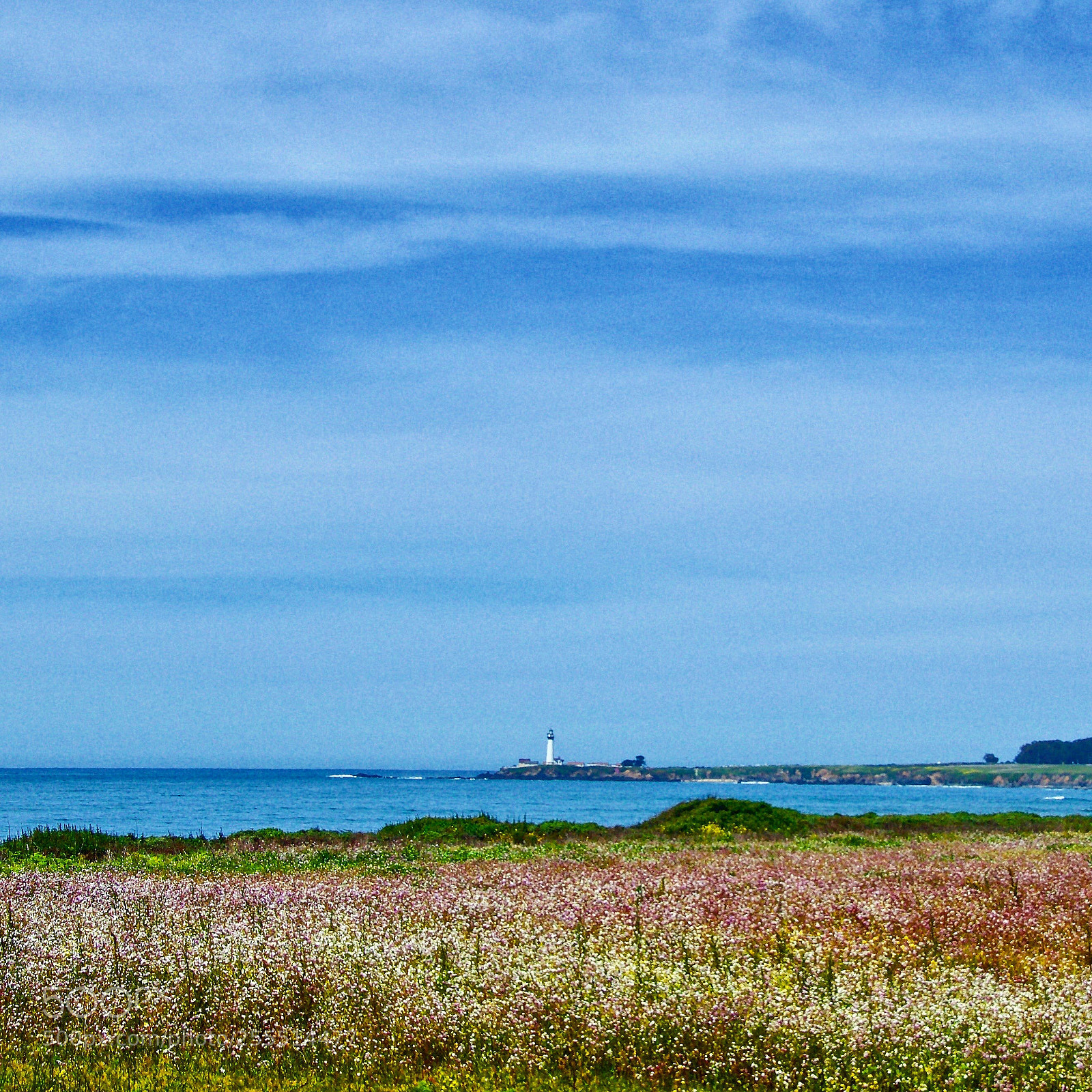 Nikon D5100 sample photo. Pigeon point  photography