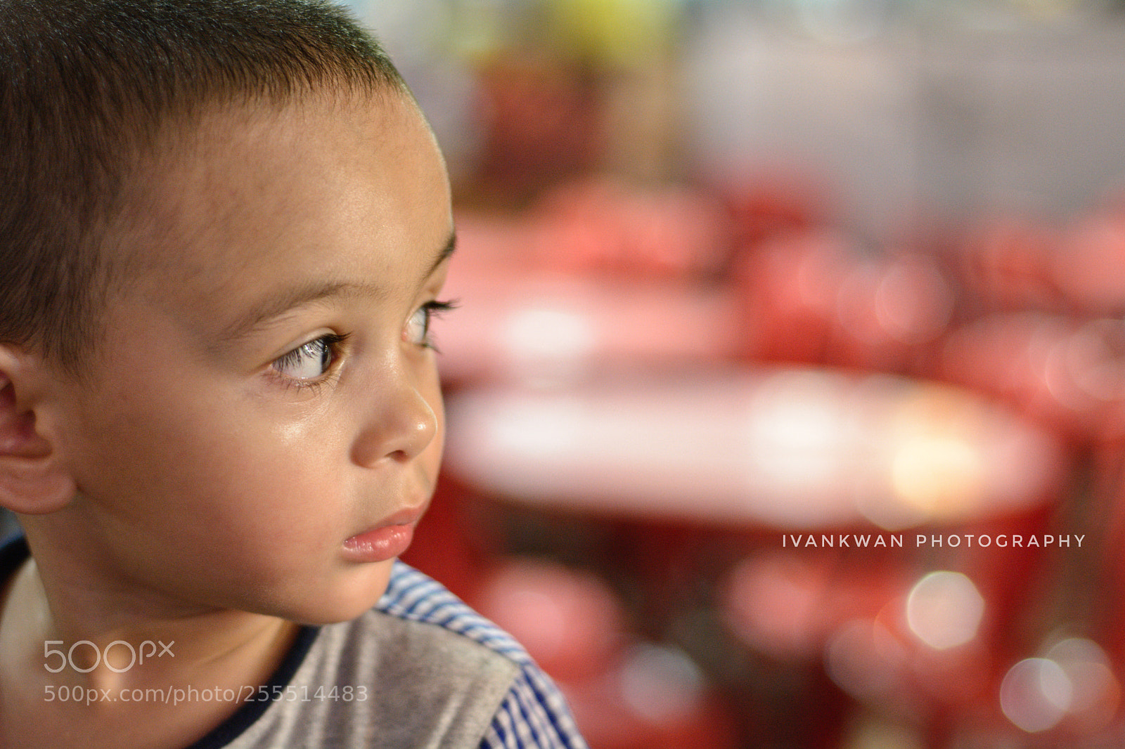 Nikon D7100 sample photo. Distraction photography