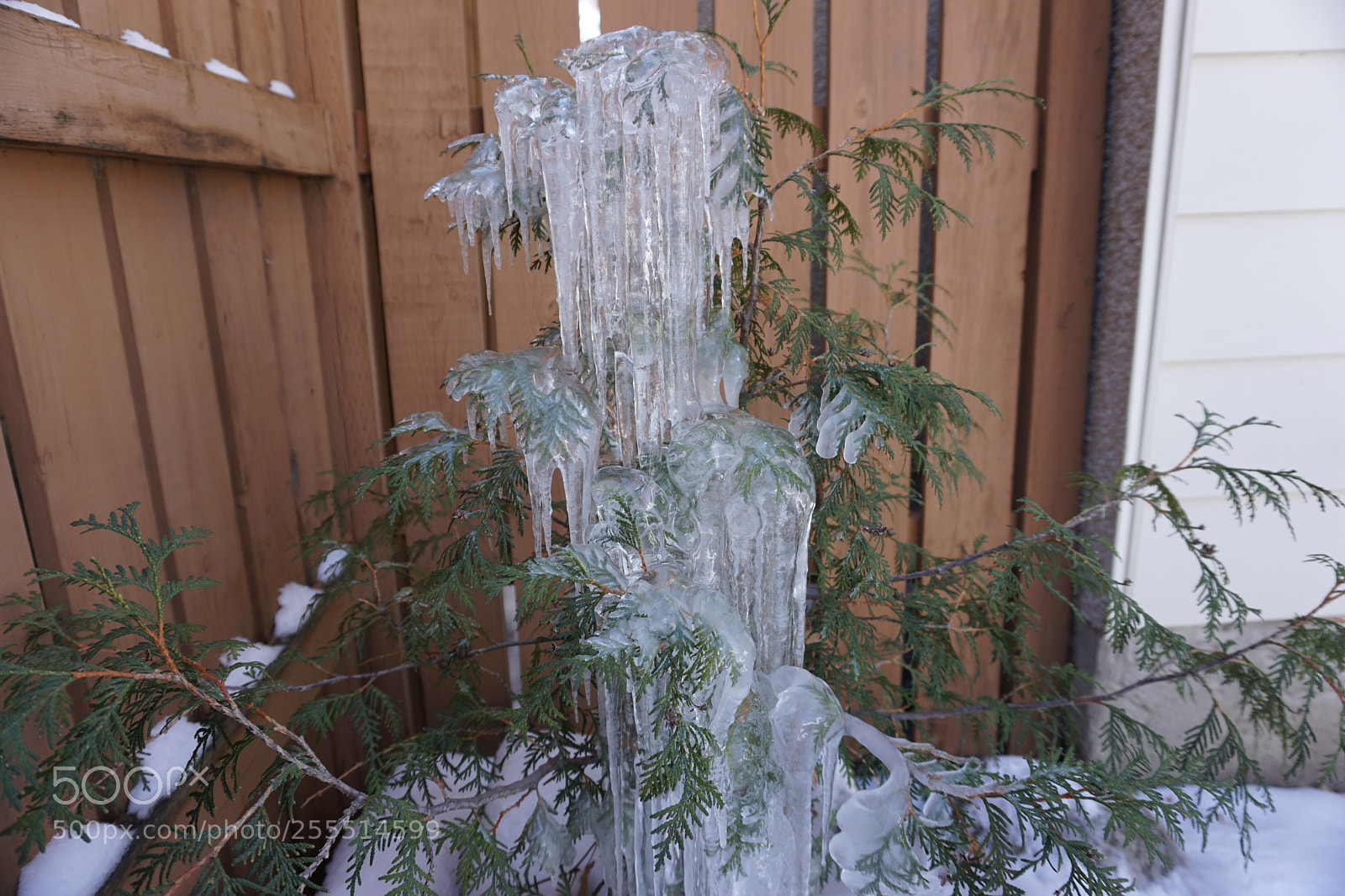 Sony a6000 sample photo. Dsc photography