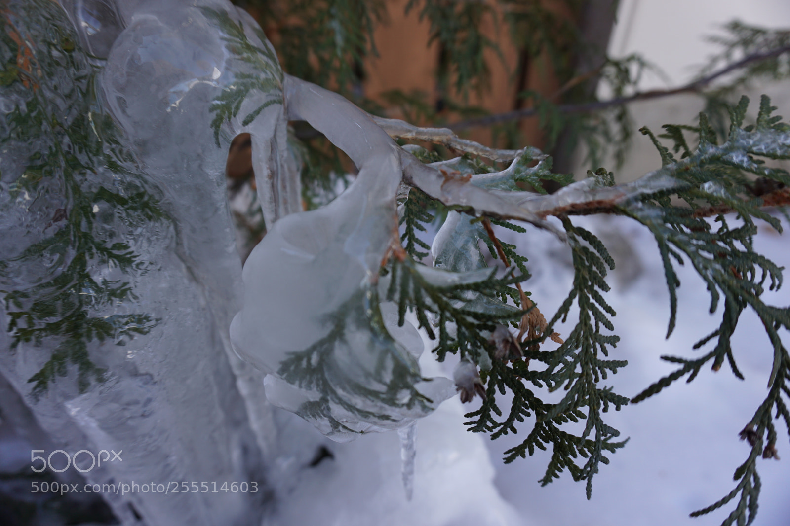 Sony a6000 sample photo. Dsc photography