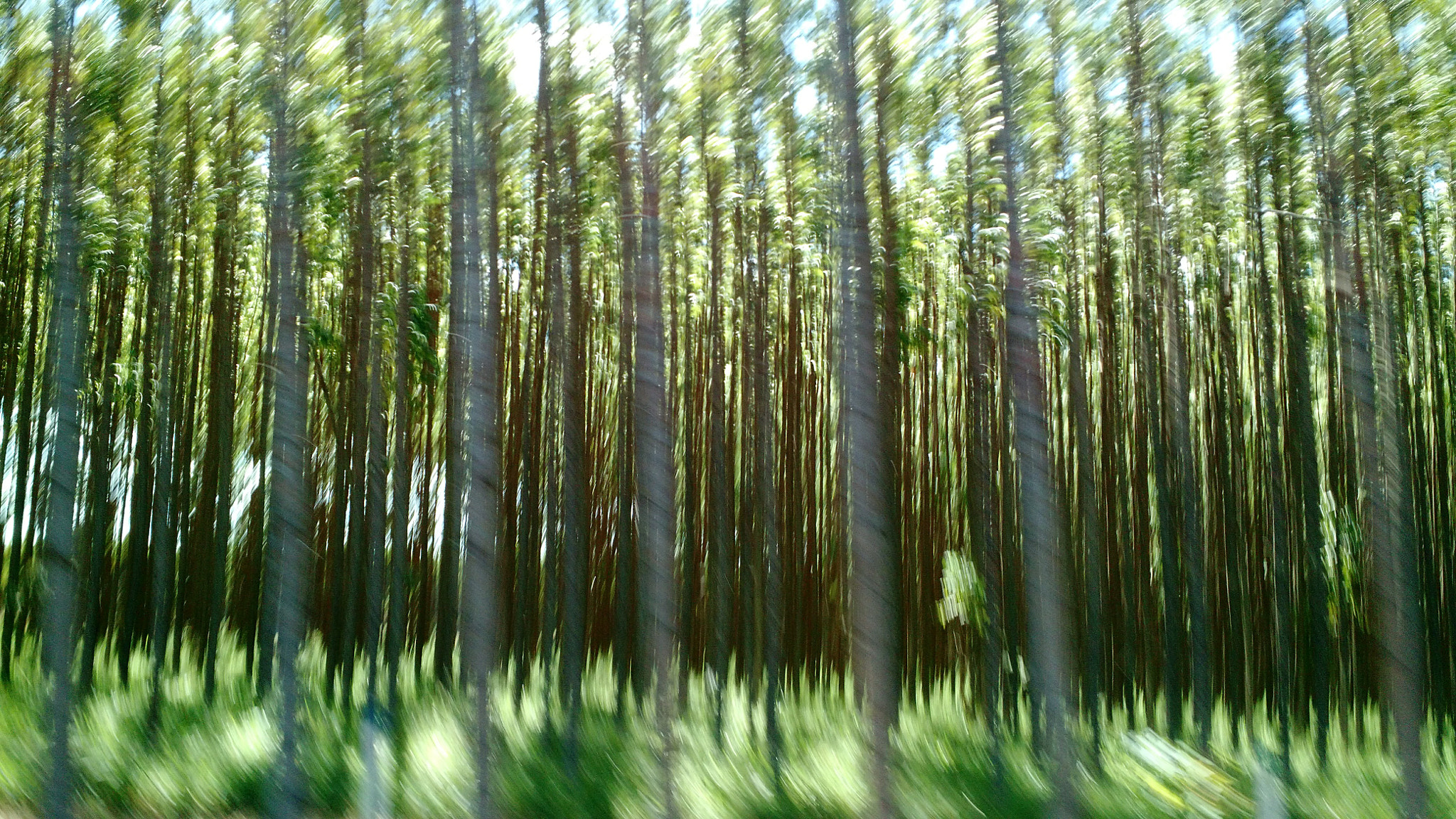 Motorola Moto X (2nd Gen) sample photo
