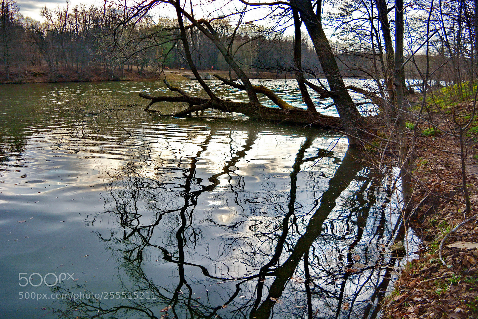 Nikon D5200 sample photo. Spring water photography