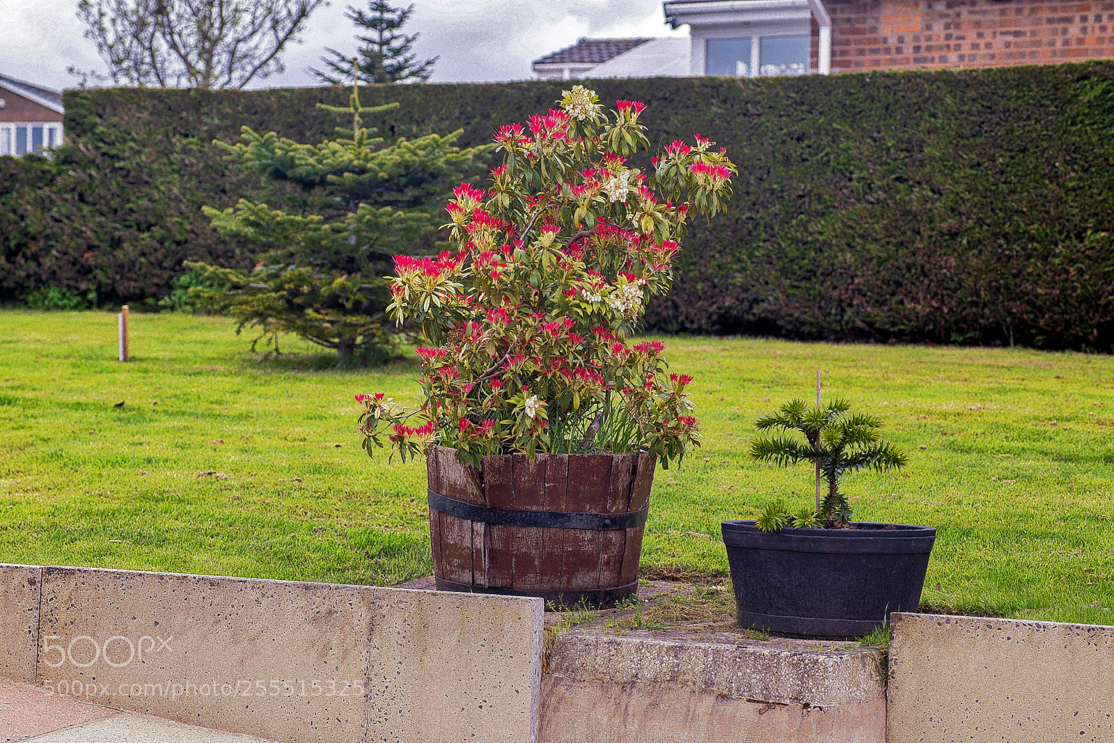 Canon EOS 6D sample photo. Overcast again photography