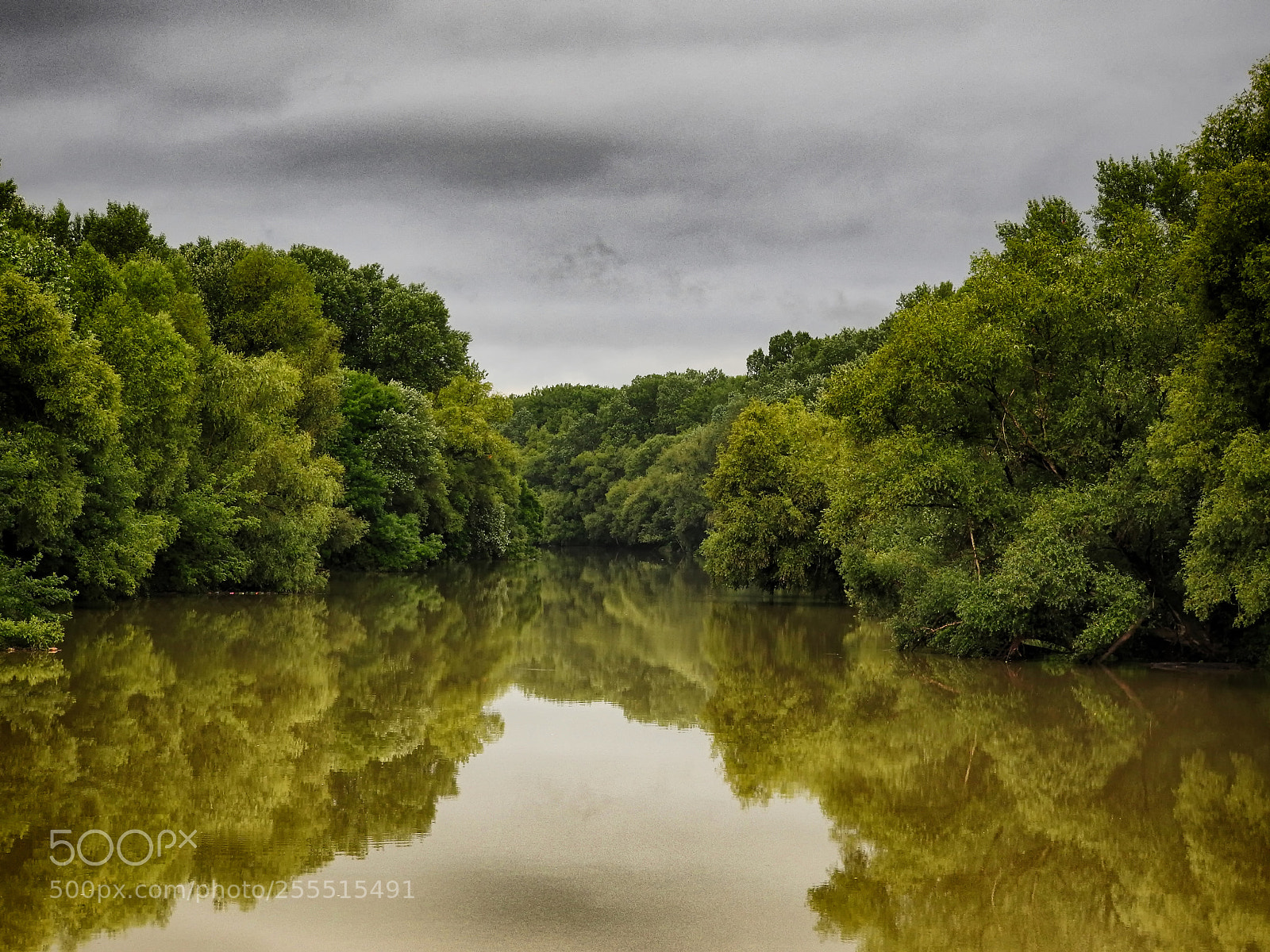 Nikon Coolpix P610 sample photo. Bodrog river photography