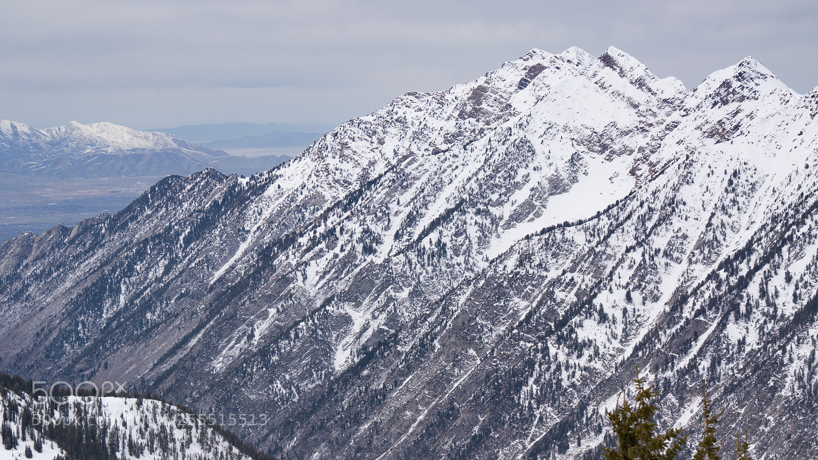 Sony Alpha NEX-6 sample photo. Snowbird iv photography