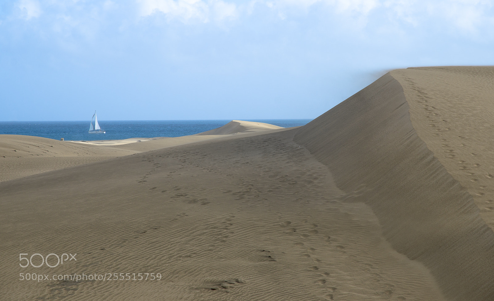 Nikon D7000 sample photo. Viento photography