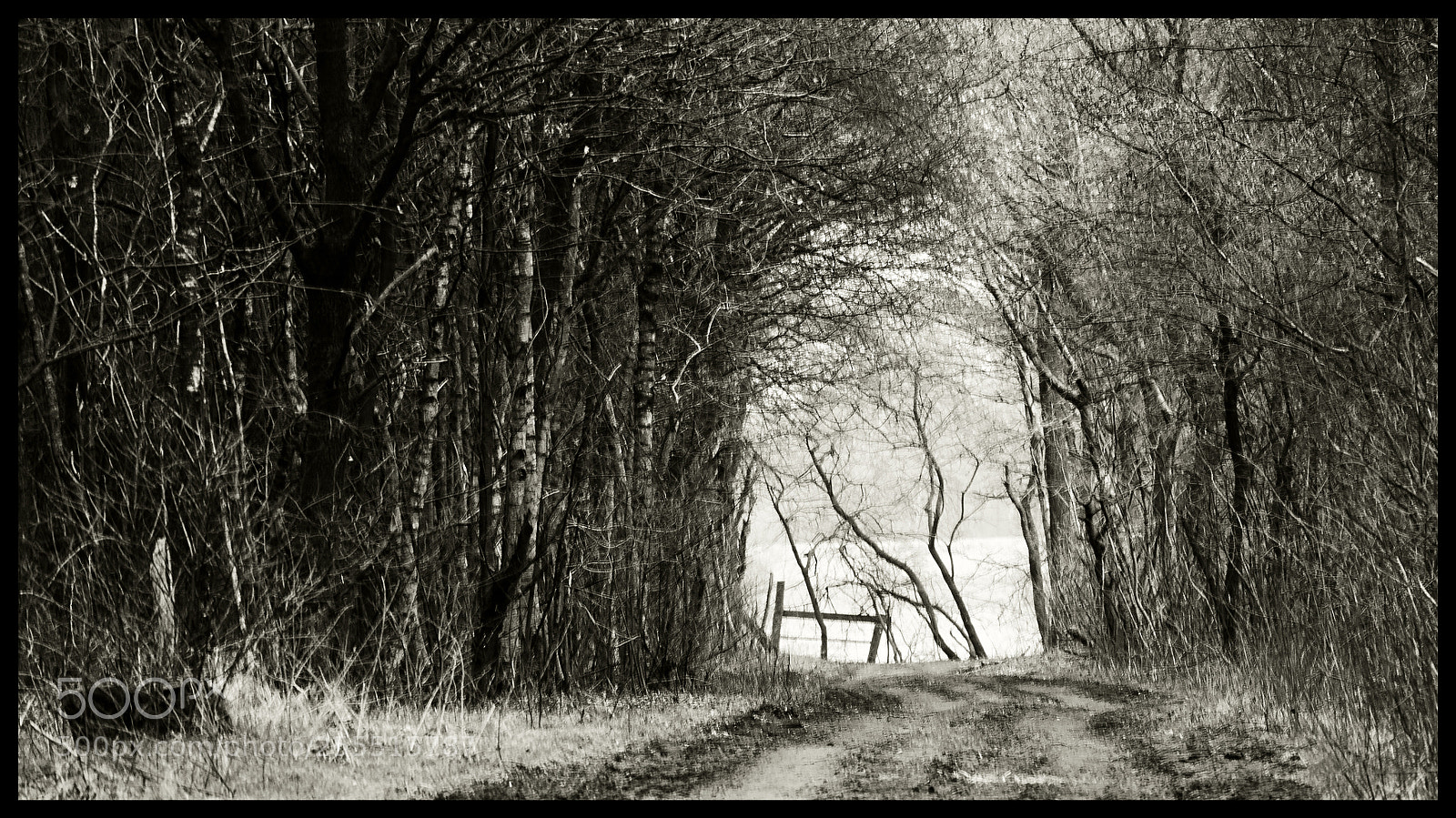 Nikon D5100 sample photo. Exit photography