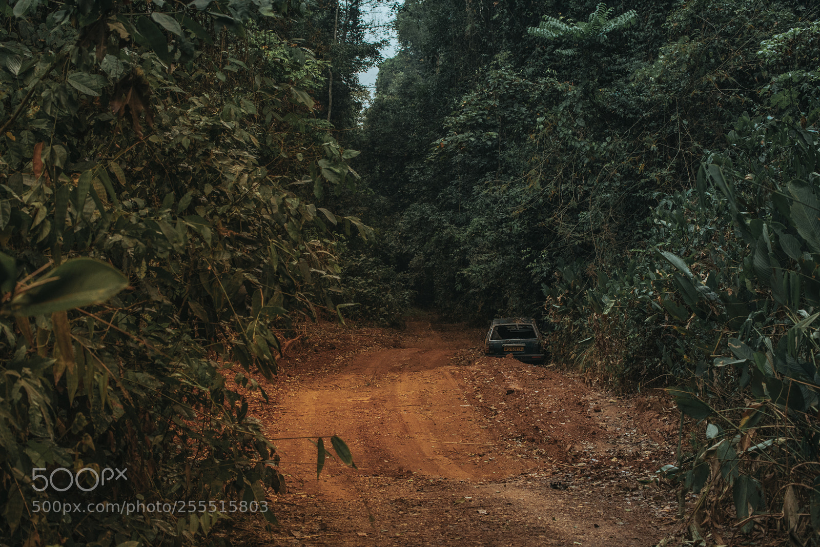 Canon EOS 5D Mark IV sample photo. Ghanaoldcar photography