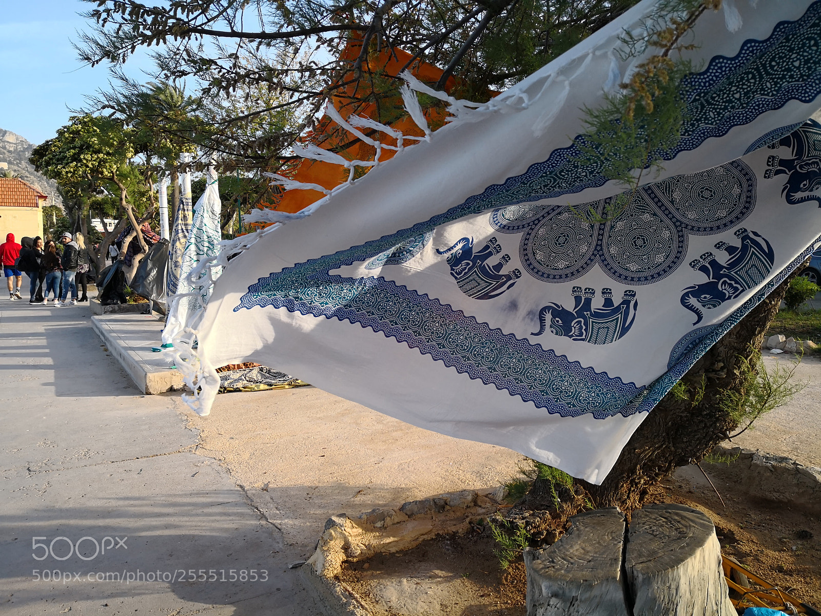 HUAWEI Mate 10 Pro sample photo. Untitled photography