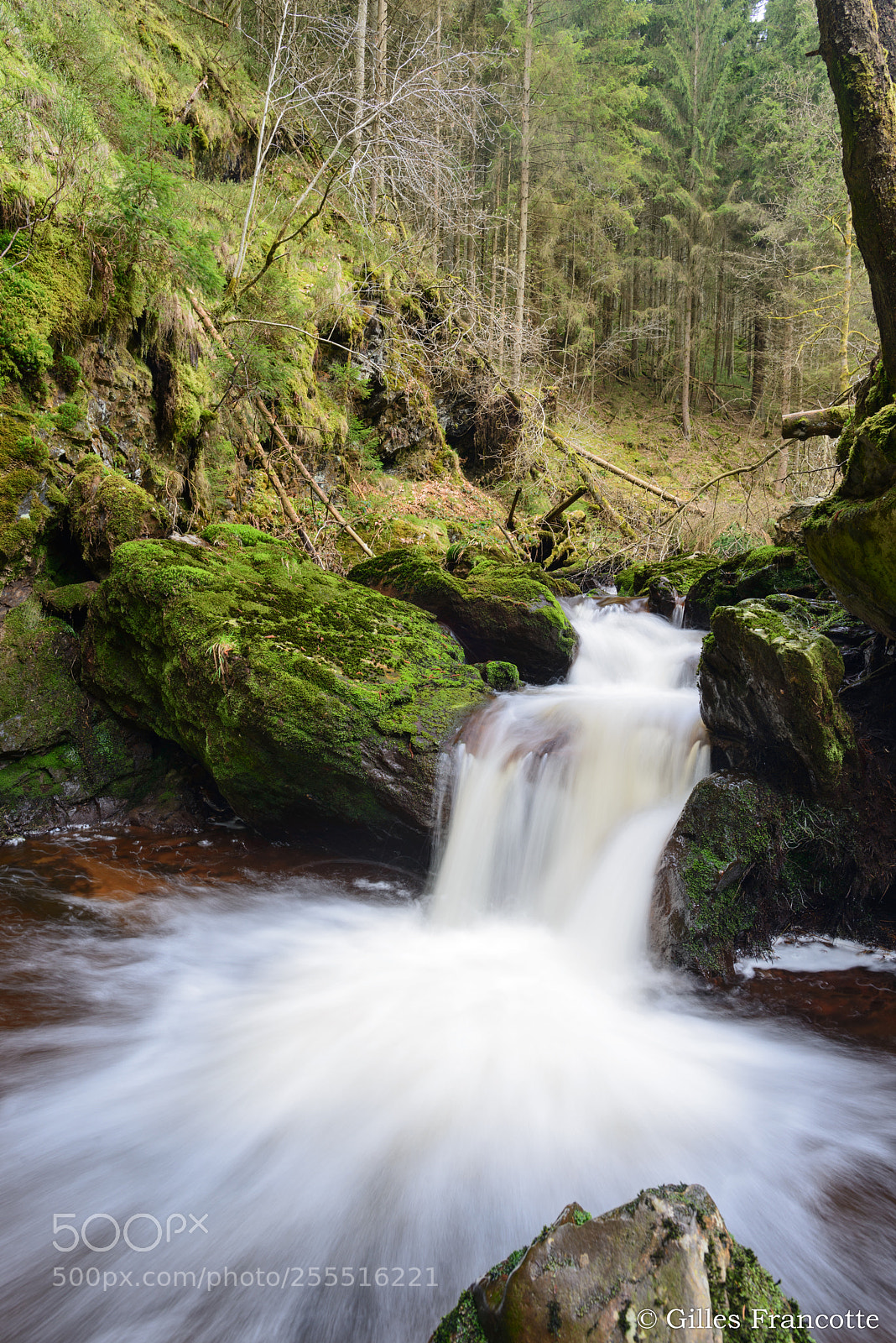Nikon D800 sample photo. Torrent. photography